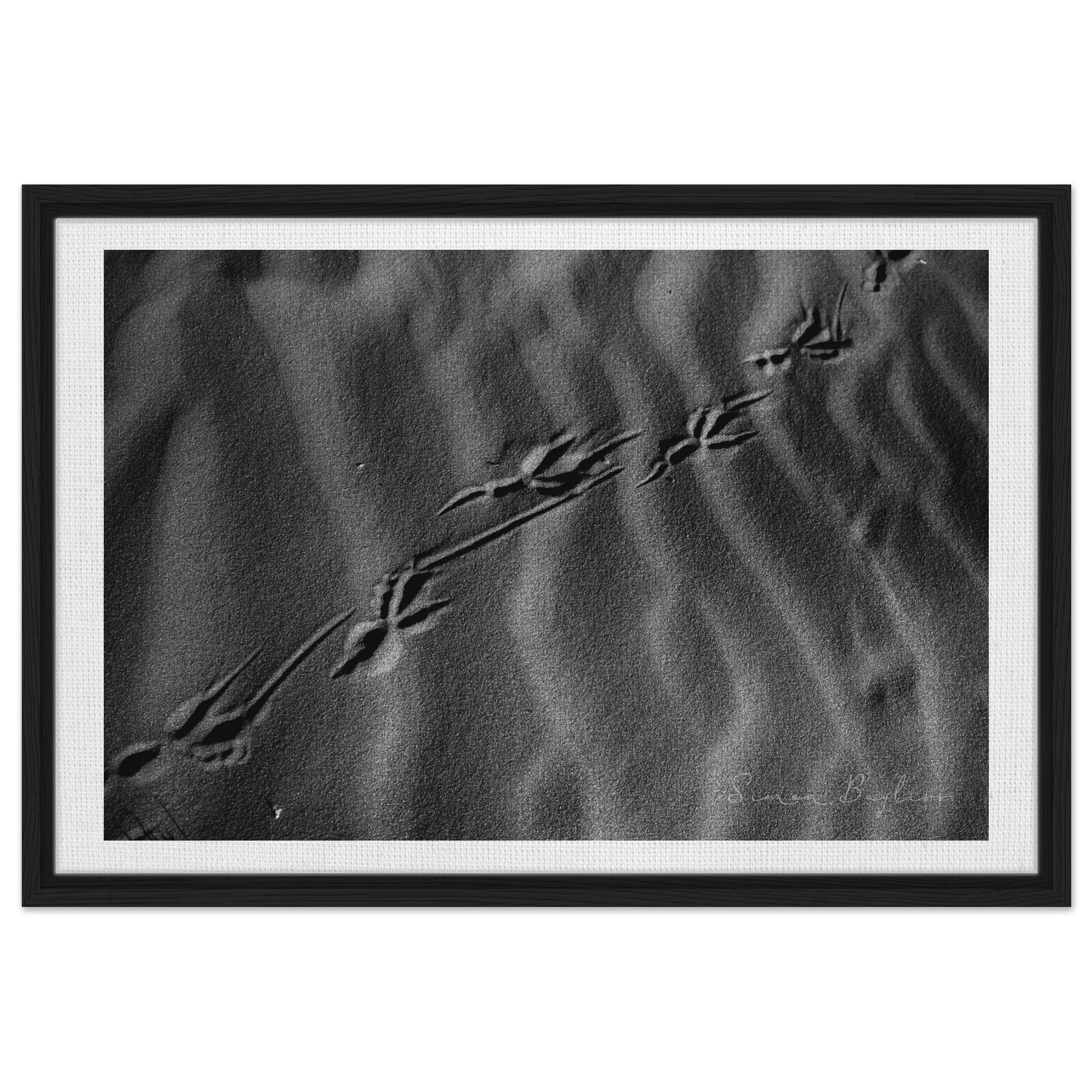 aed8e841-b56d-41c8-87a5-44da5f5b0b68