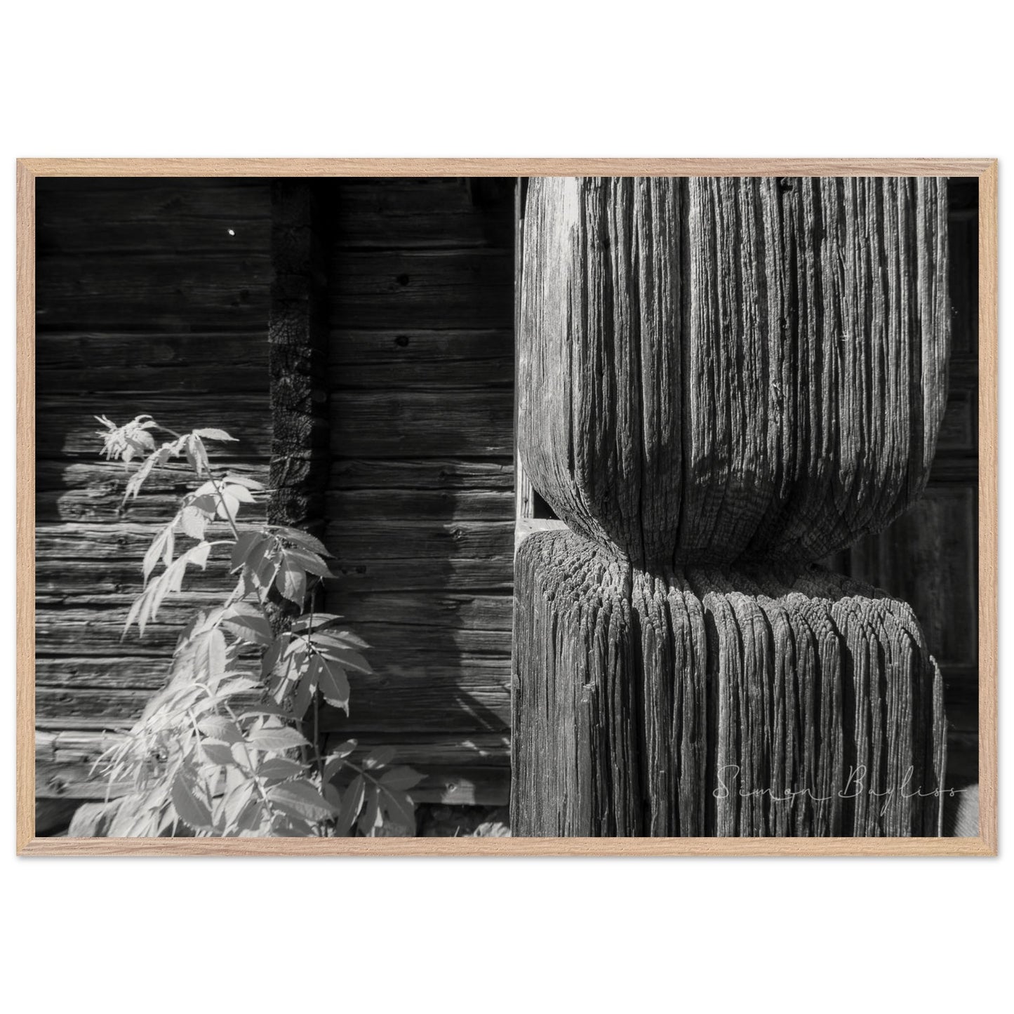 aefadfcf-f7b4-4424-b8ff-699fef3cf59c