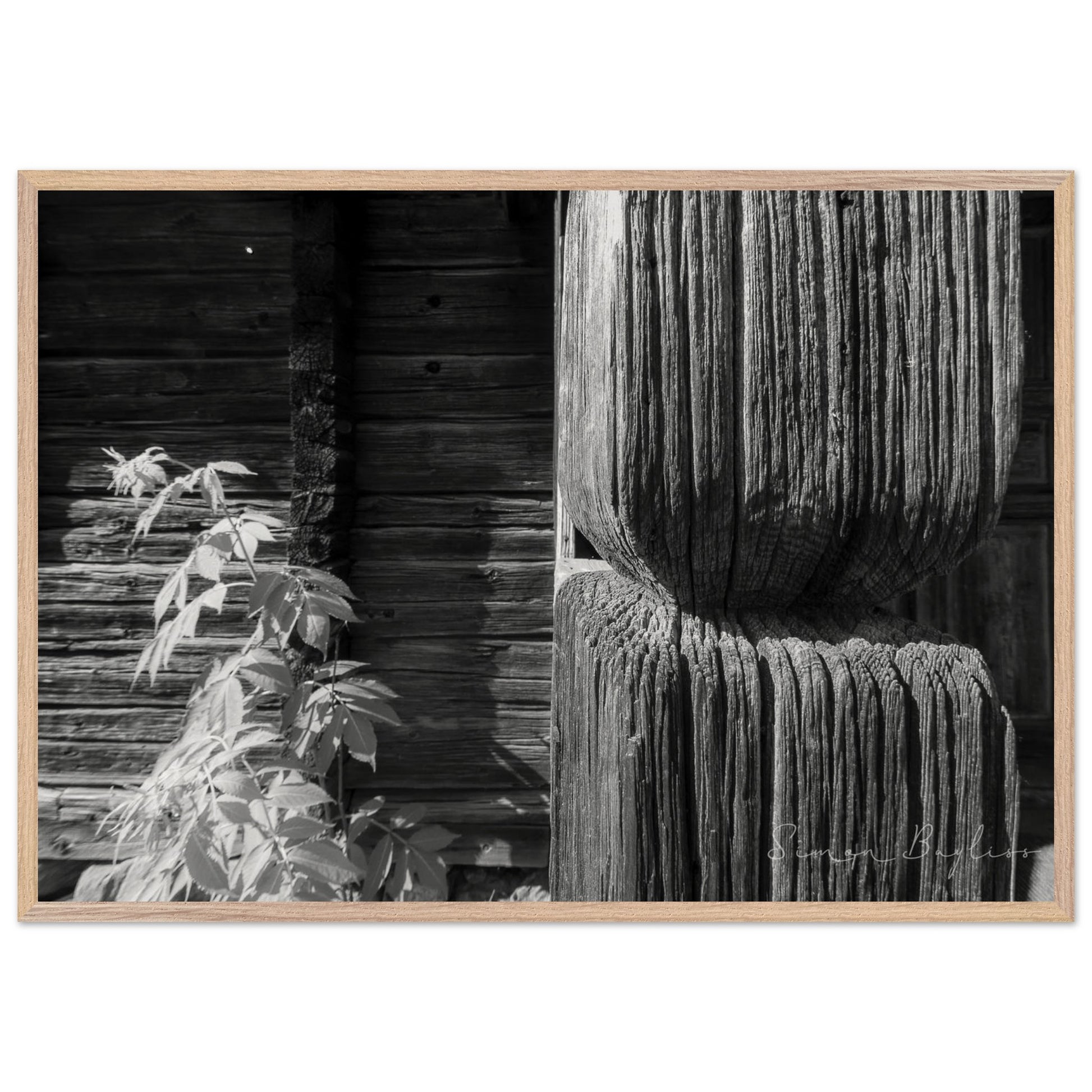 aefadfcf-f7b4-4424-b8ff-699fef3cf59c