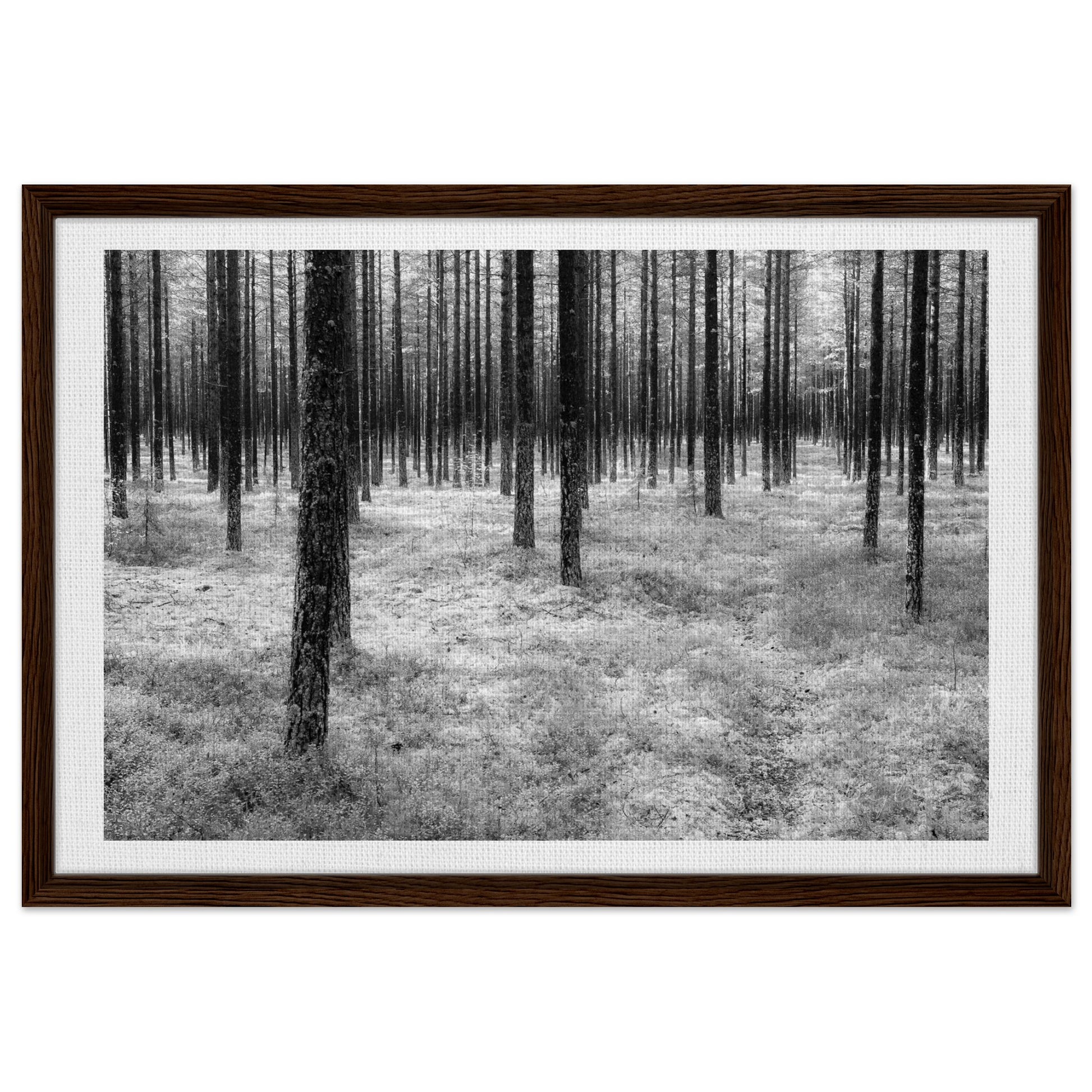 af0a82a9-155a-453c-9b57-f94424b0bdc5