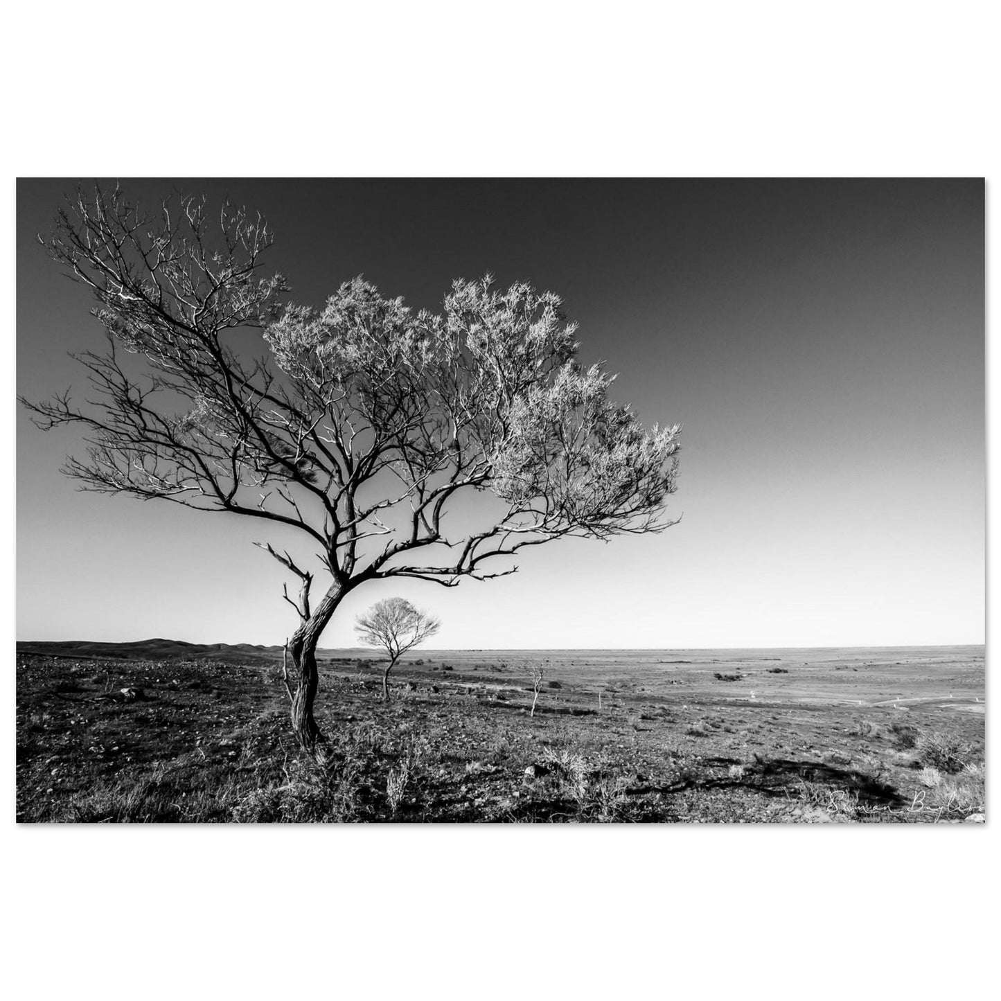 af0cf759-8214-4d17-870d-61fe2db690f7