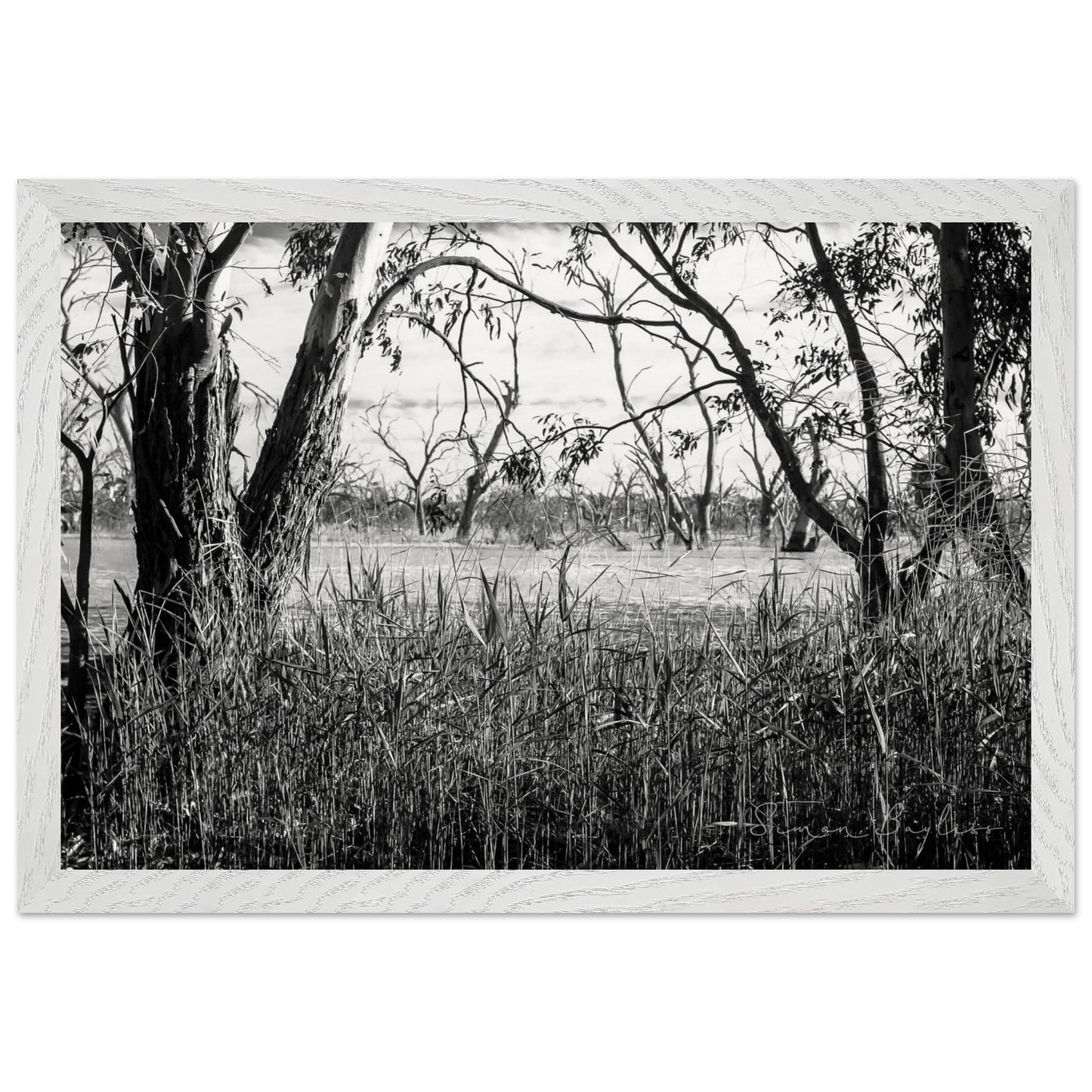 af1a9378-c40e-443c-aec1-a056c08f74f2