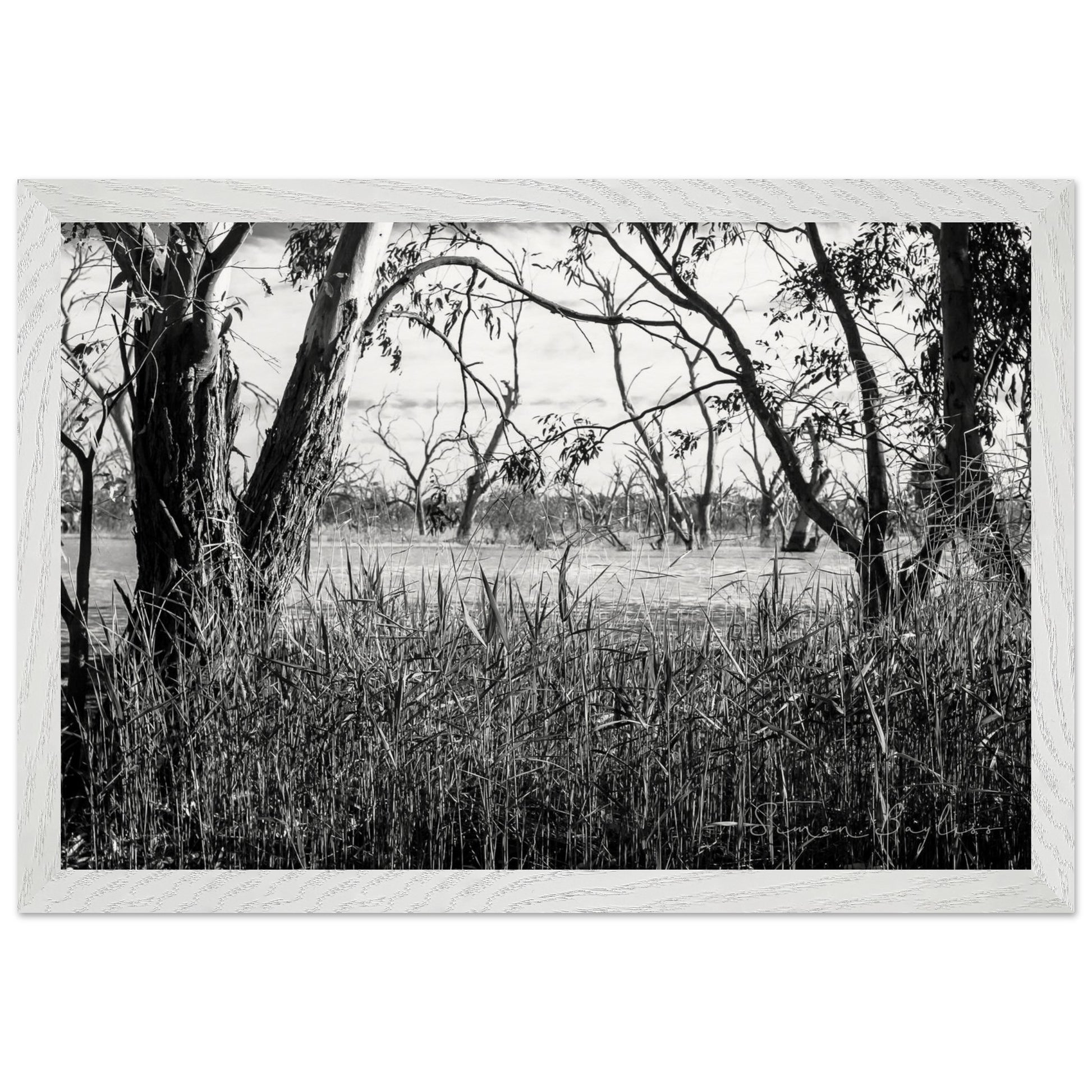 af1a9378-c40e-443c-aec1-a056c08f74f2