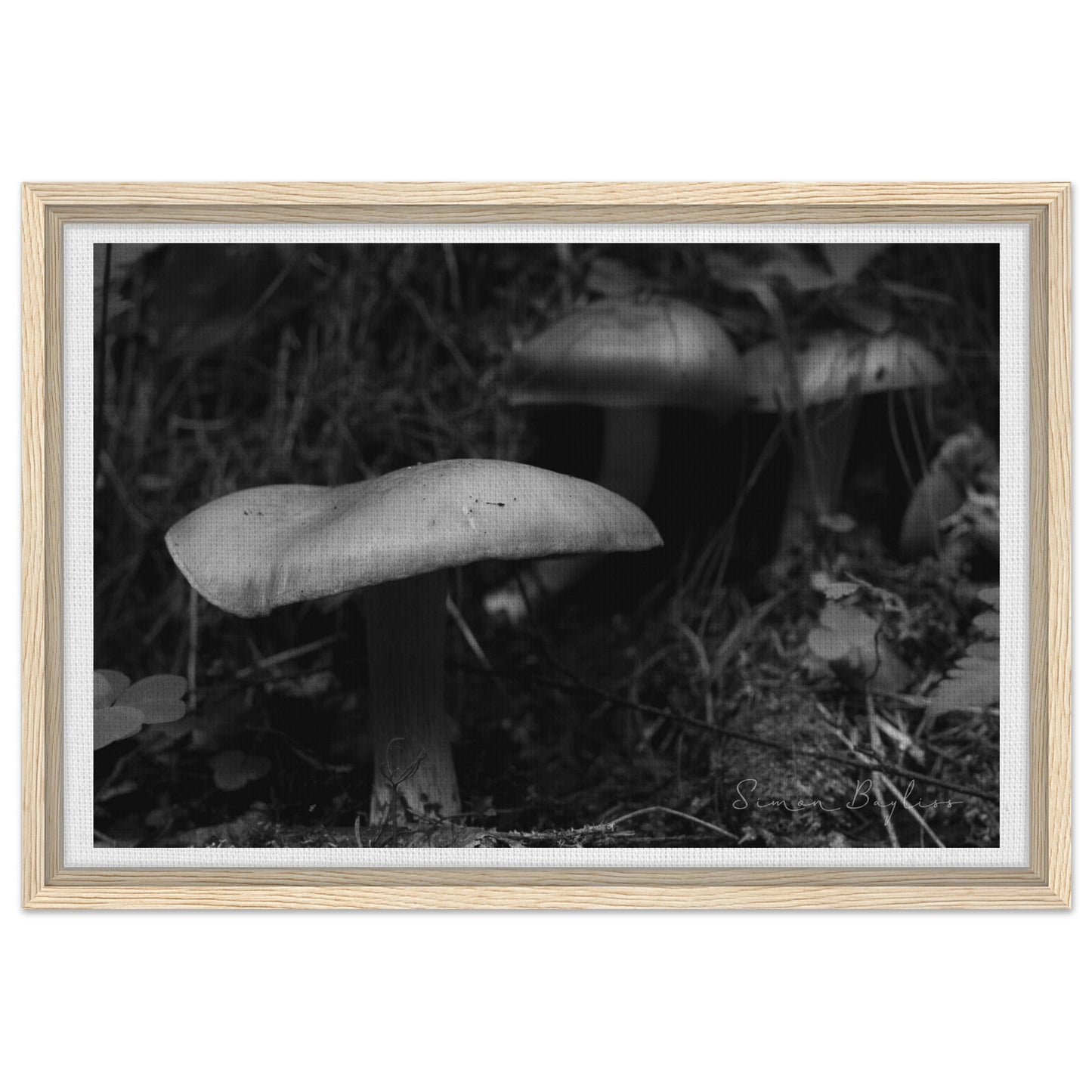 af1f809d-ce95-4a19-b355-f4cdf8b1174e