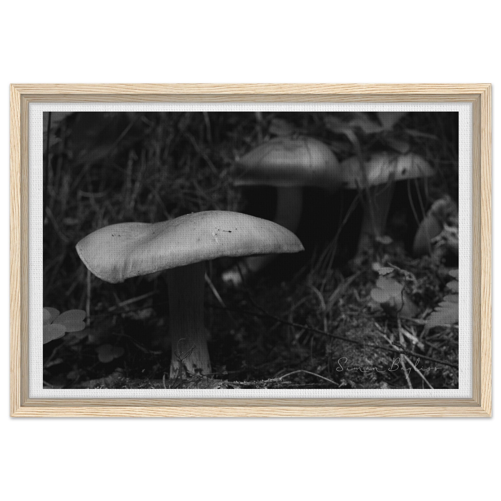 af1f809d-ce95-4a19-b355-f4cdf8b1174e