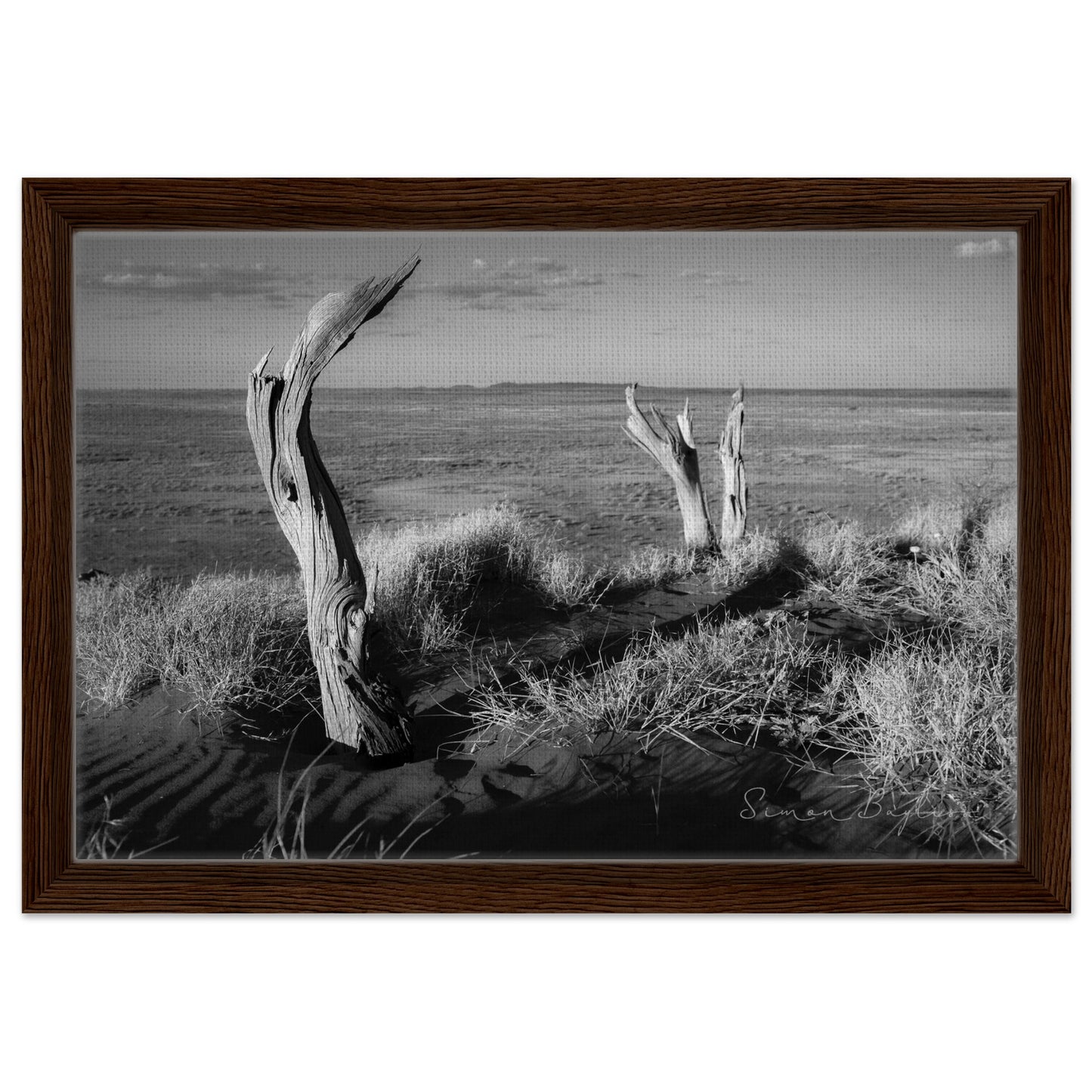 afbce55d-91af-4f58-9617-f007c9935291