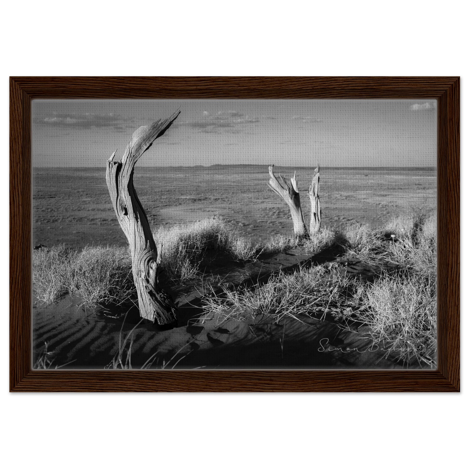 afbce55d-91af-4f58-9617-f007c9935291