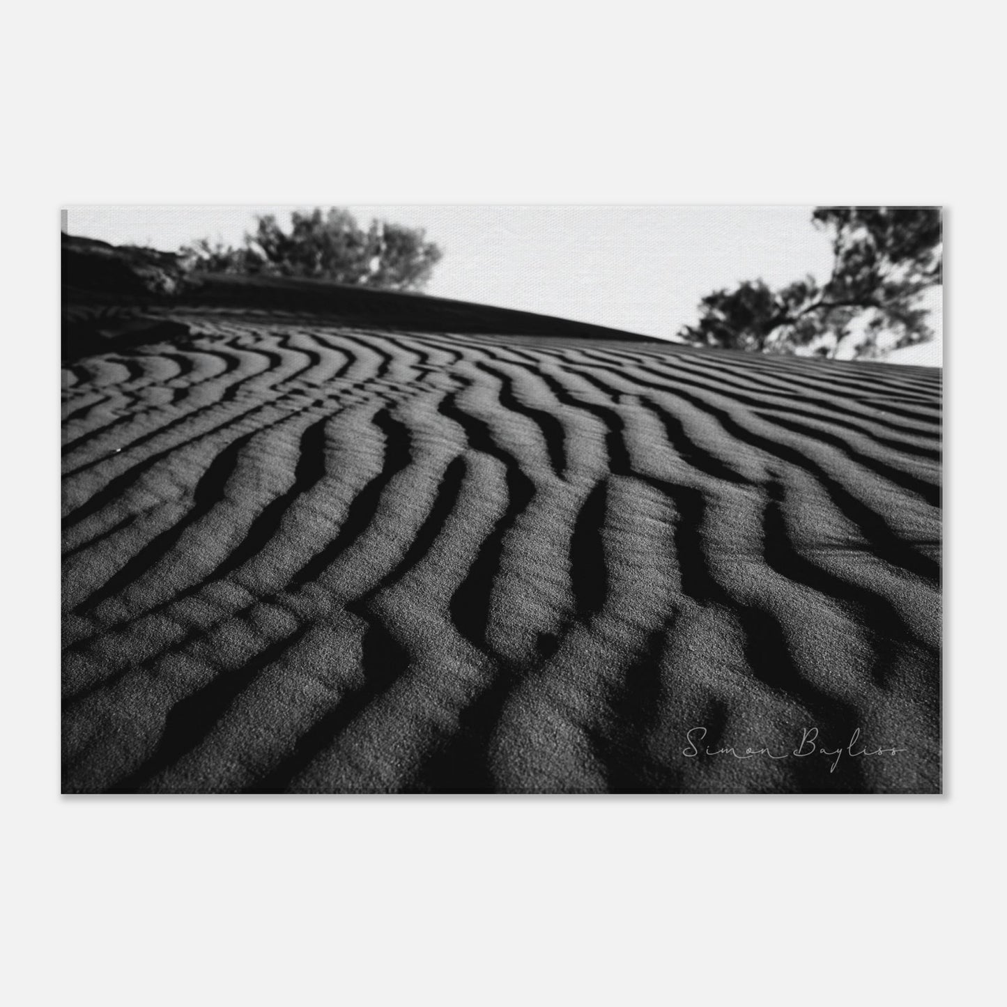 b01c4ea5-9201-47c4-8e09-70b3892f94d6