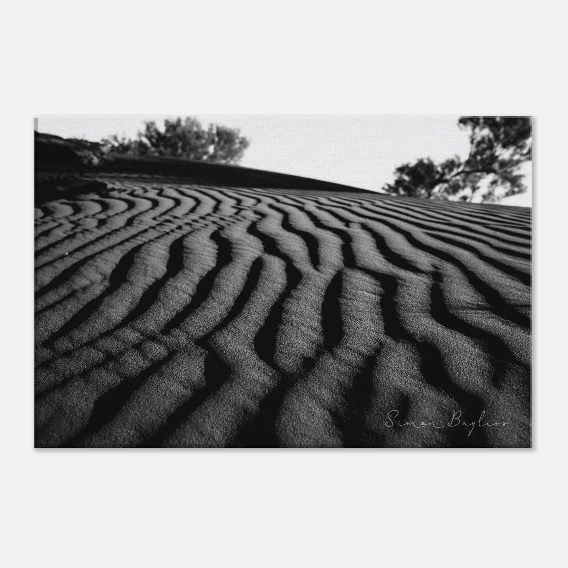 b01c4ea5-9201-47c4-8e09-70b3892f94d6