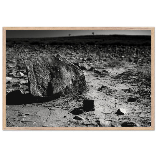 b0b990e7-4771-474e-995f-9f8dbba0c686