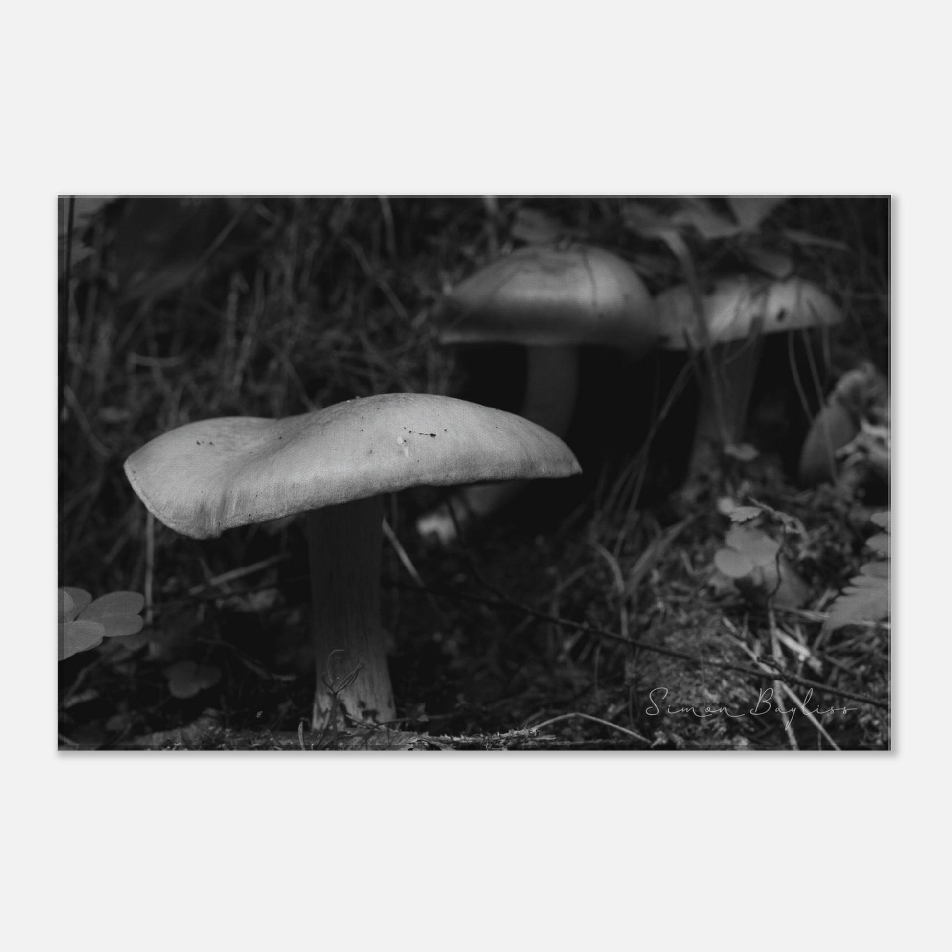 b0dcf49f-ca84-4d1c-bc0f-abf0295545a5