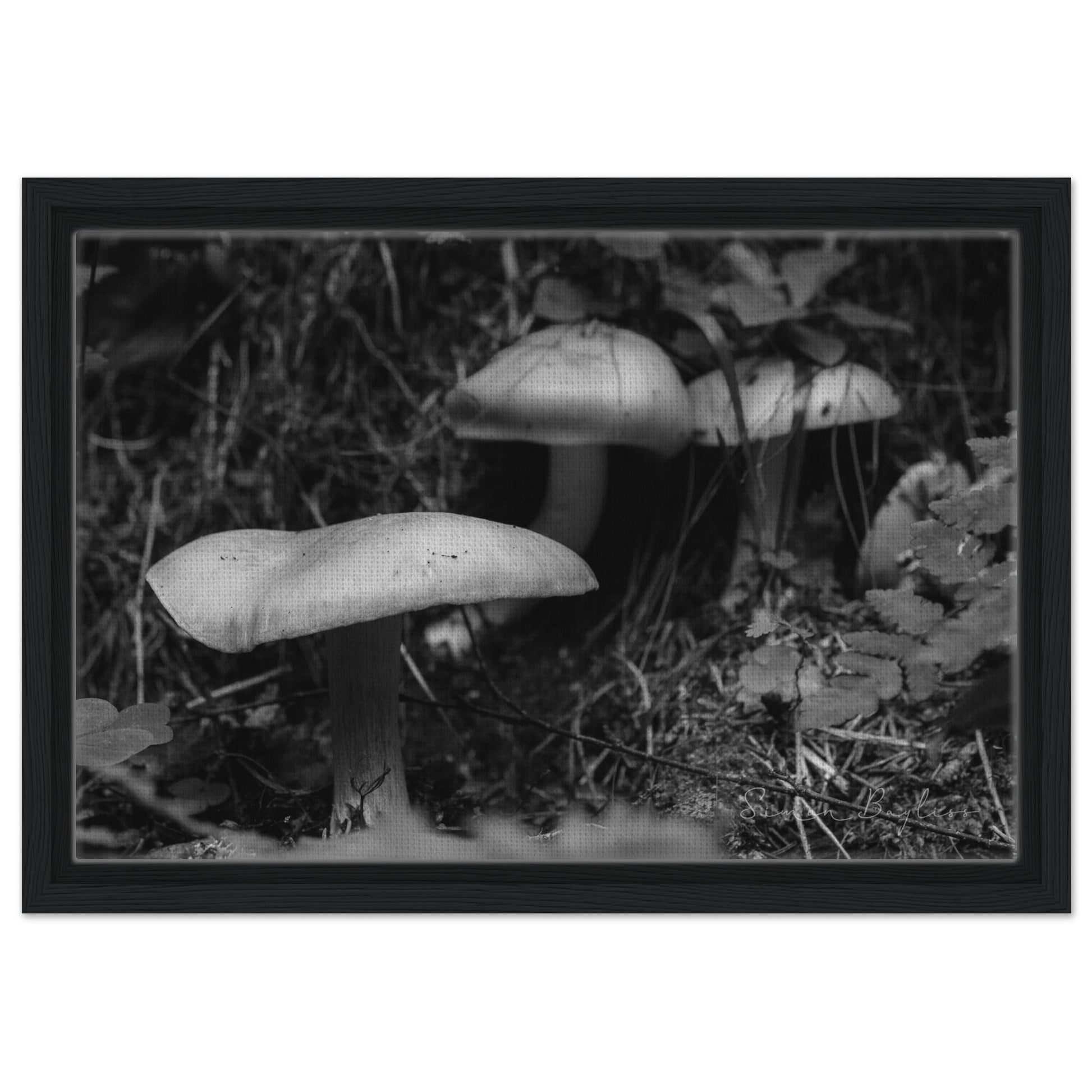 b0f5d7f0-8a13-4806-b623-c5f9ce127750