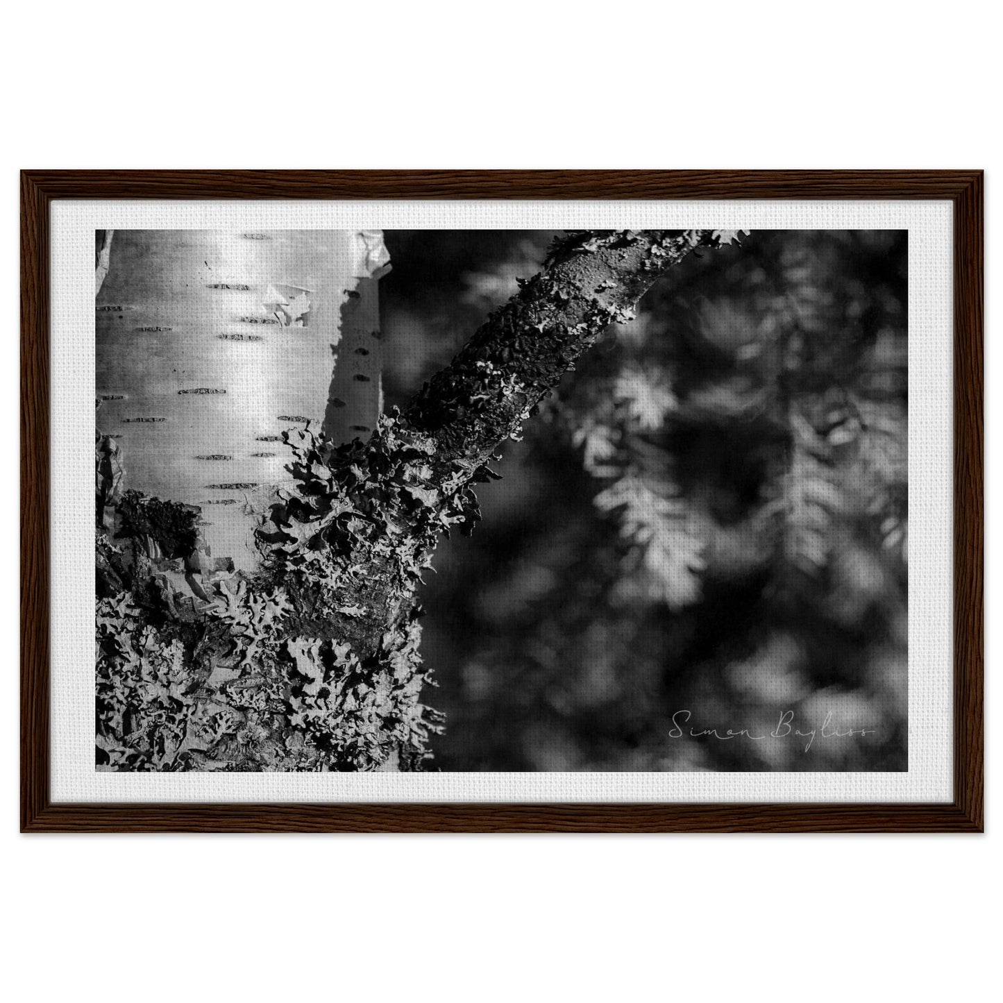 b117faf0-6c77-4a78-b6fd-03f050238ce2