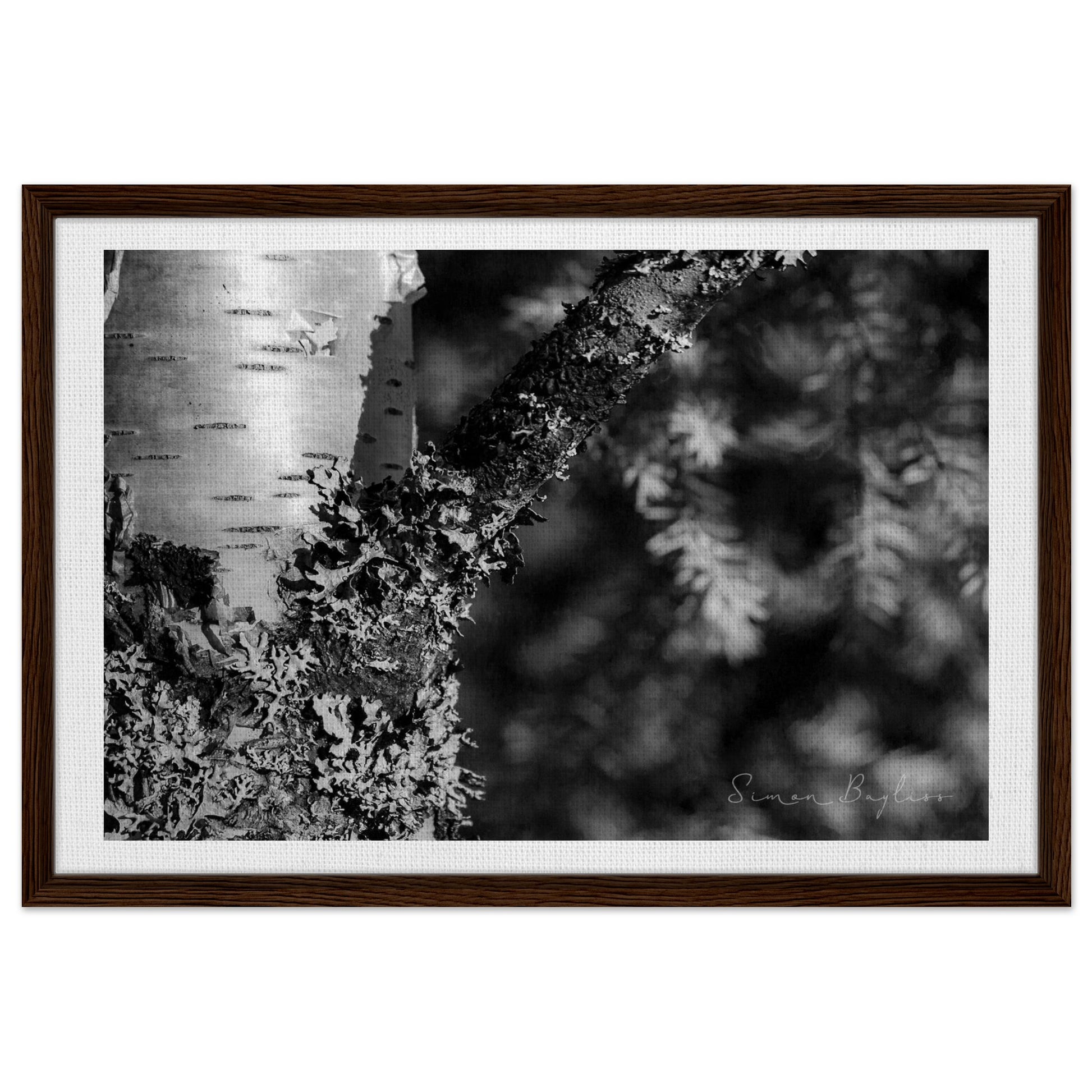 b117faf0-6c77-4a78-b6fd-03f050238ce2