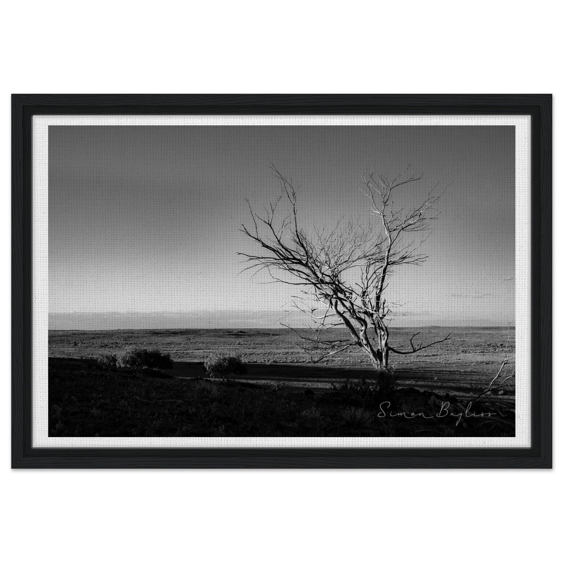 b13f2cbb-7fa4-49c4-8675-c25b2147a659