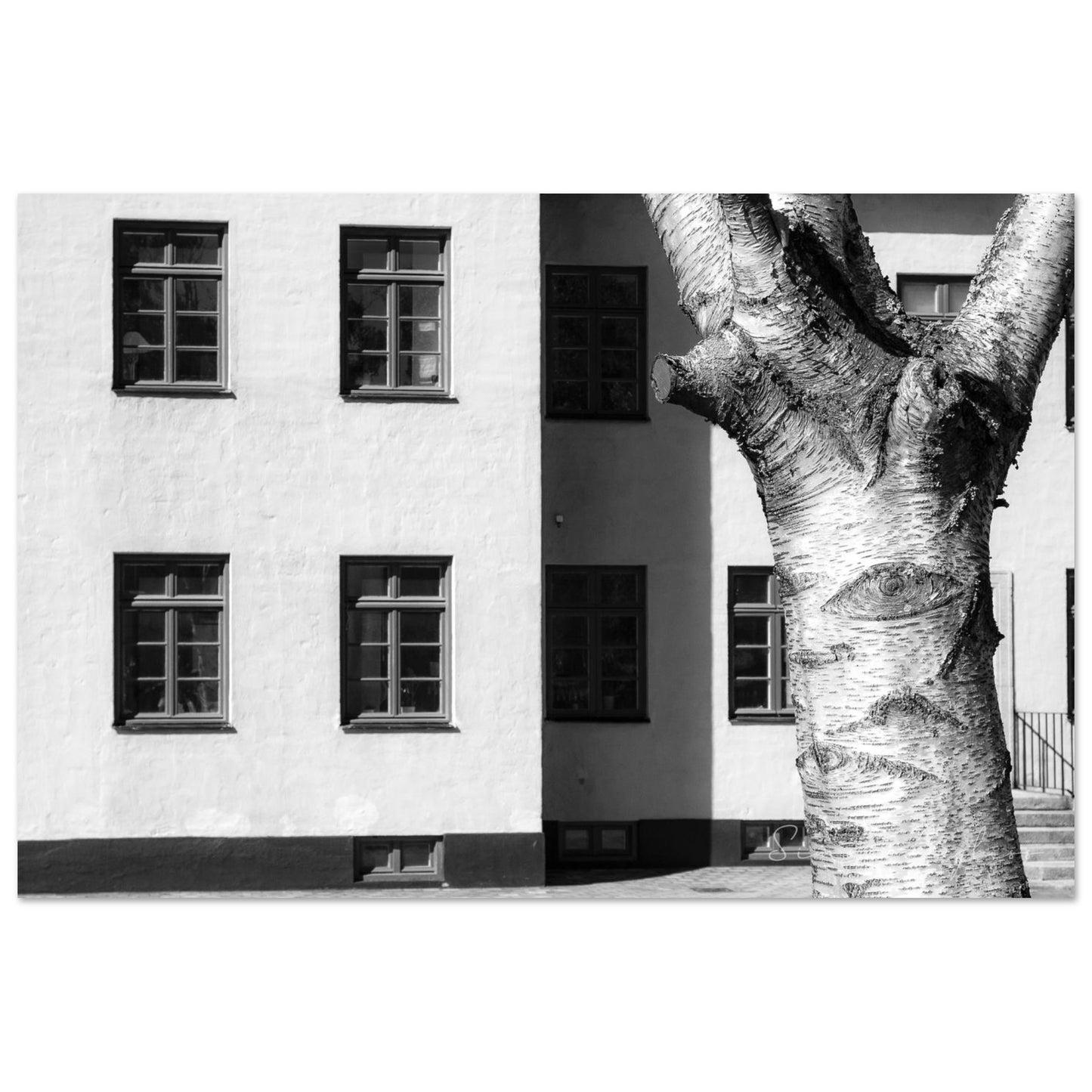 b1559a18-44d8-43f8-8c80-ec2c588923ad