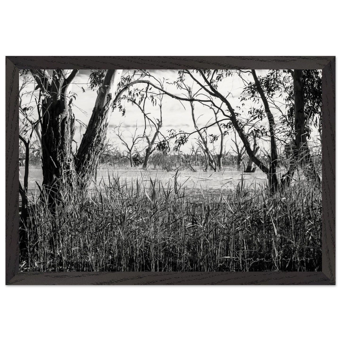 b1c414f7-65bc-4243-b636-f571397a82f2