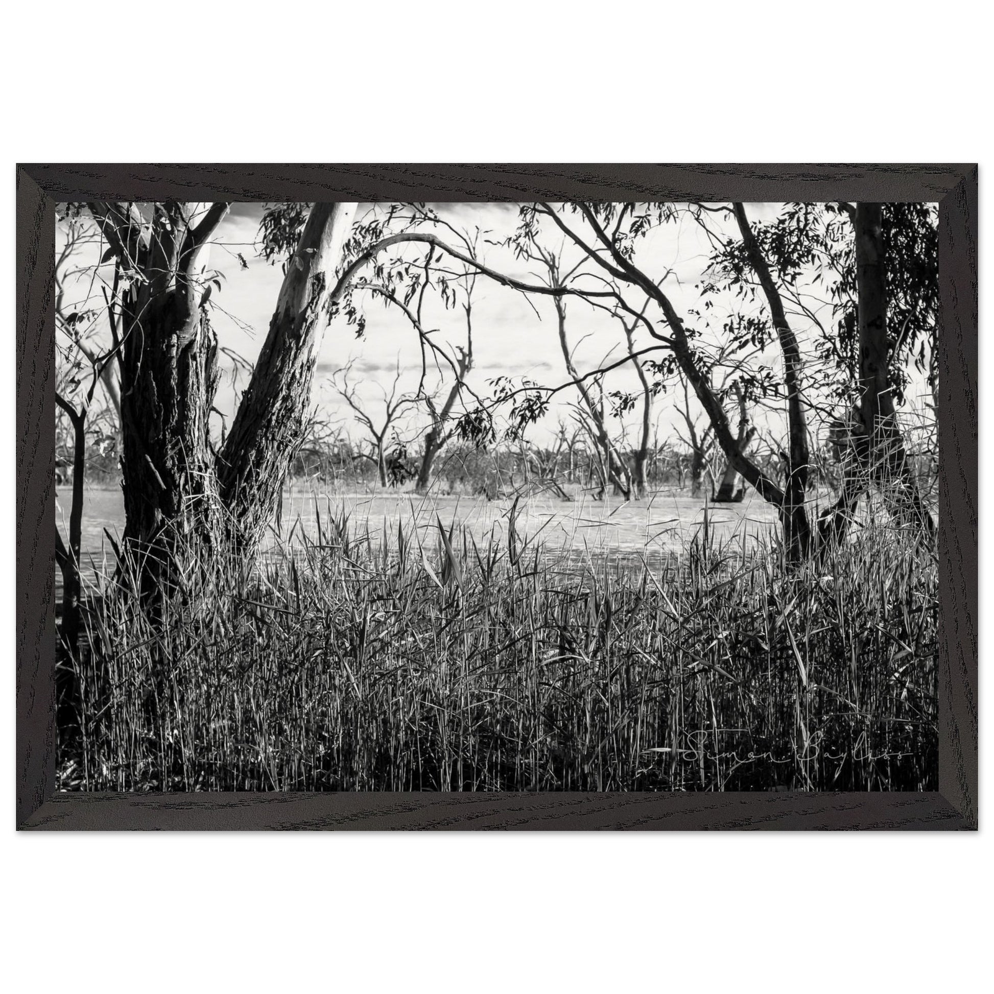 b1c414f7-65bc-4243-b636-f571397a82f2