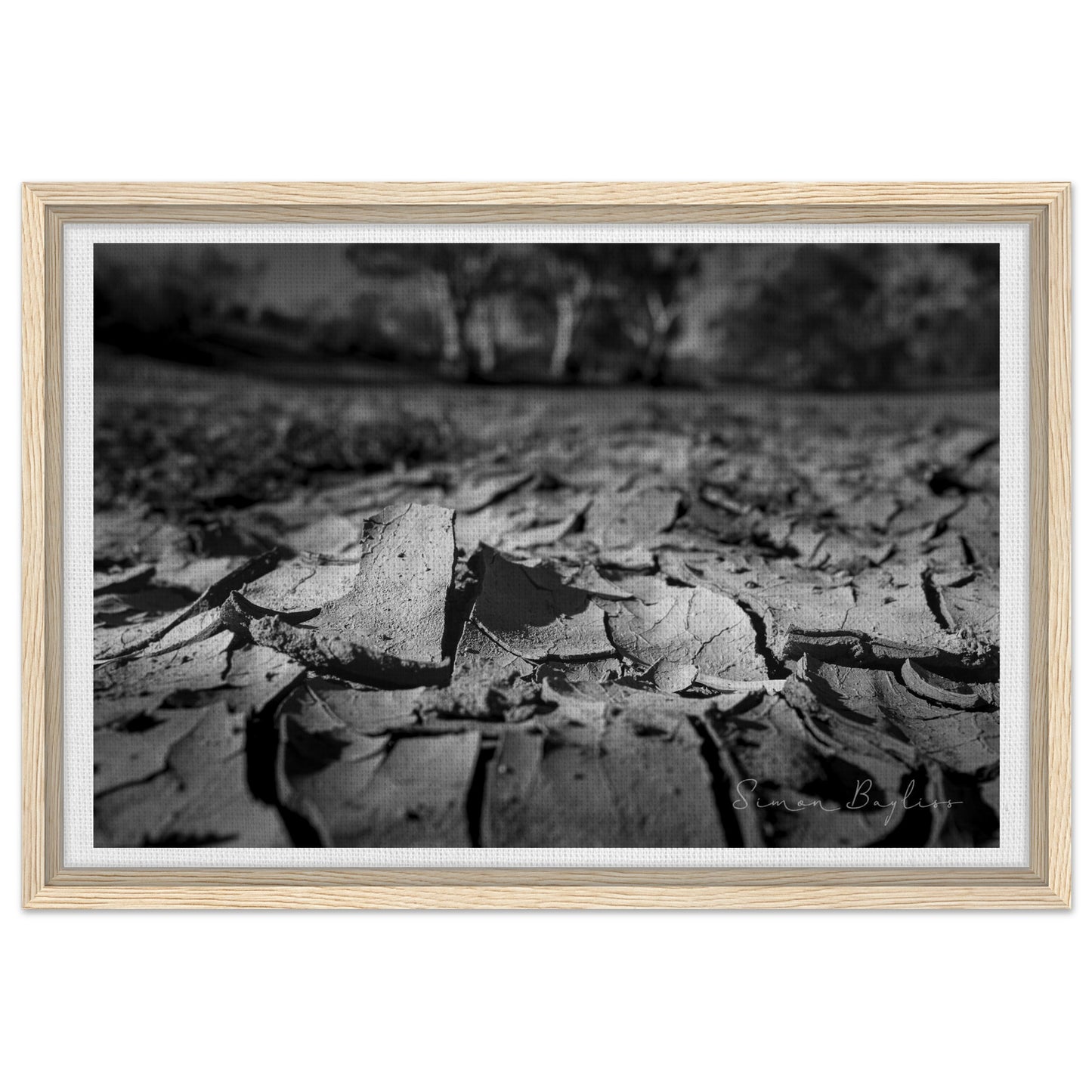 b2234073-d372-46d7-976e-01f5df6c6cf1