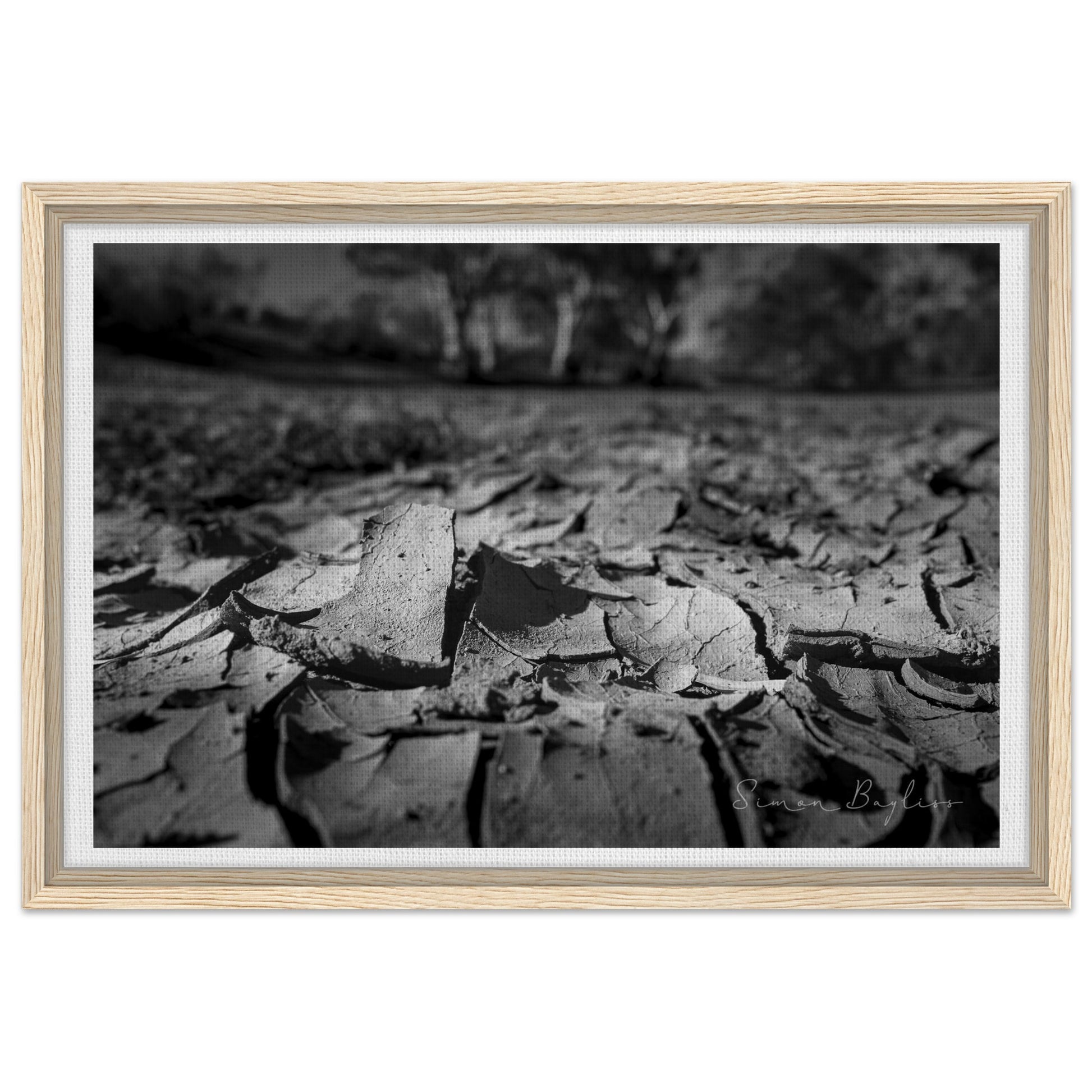 b2234073-d372-46d7-976e-01f5df6c6cf1