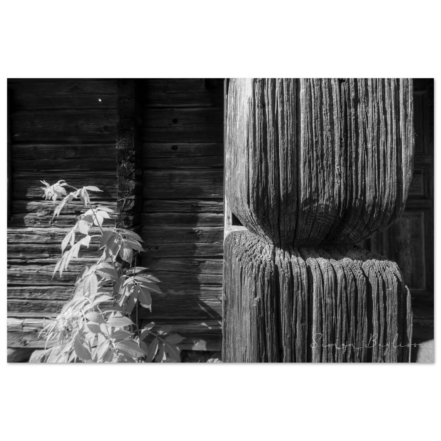 b2449ab9-63bb-4677-b95c-bbdc487f73ca