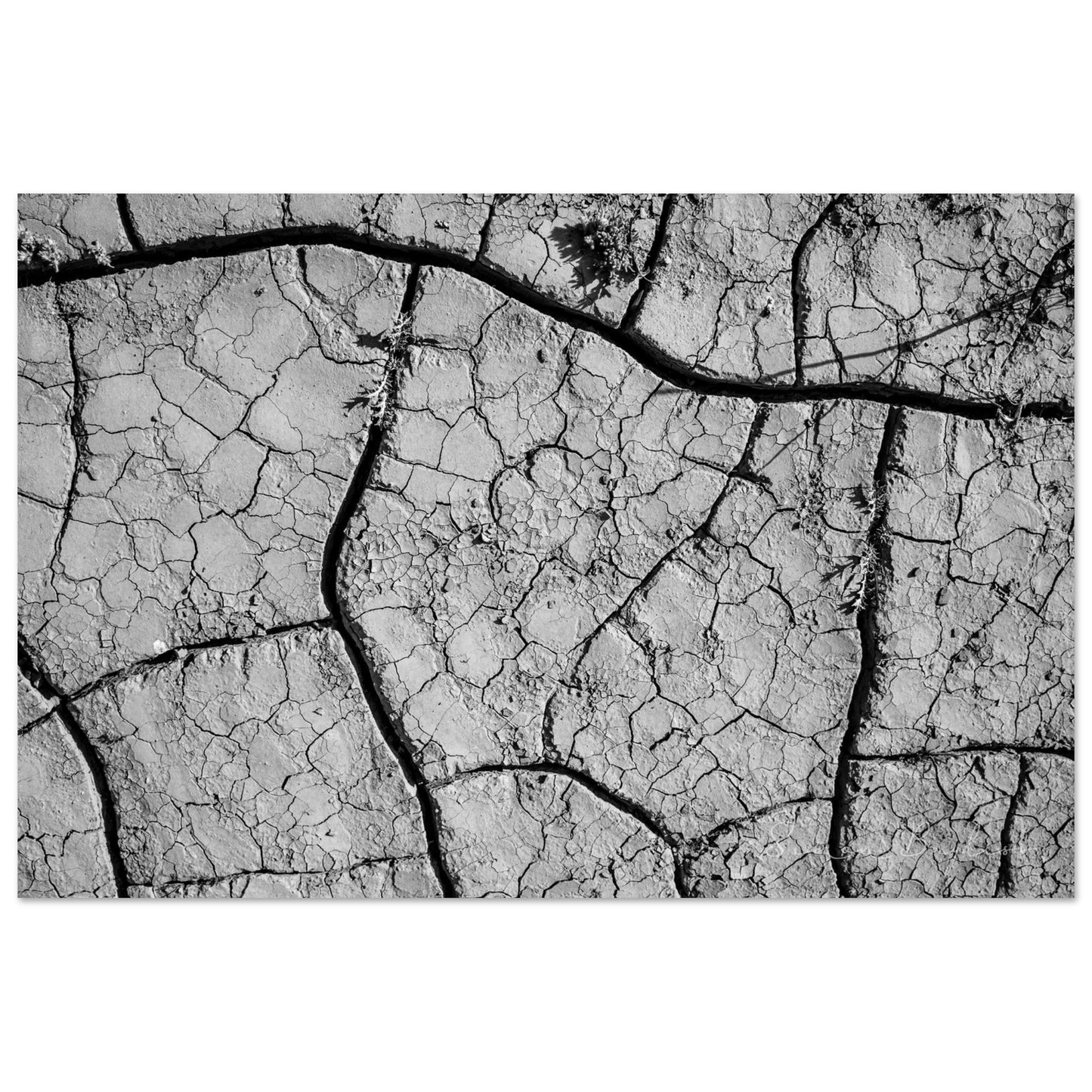 b2794752-f893-4b38-a768-7ea3f8f6c8bf