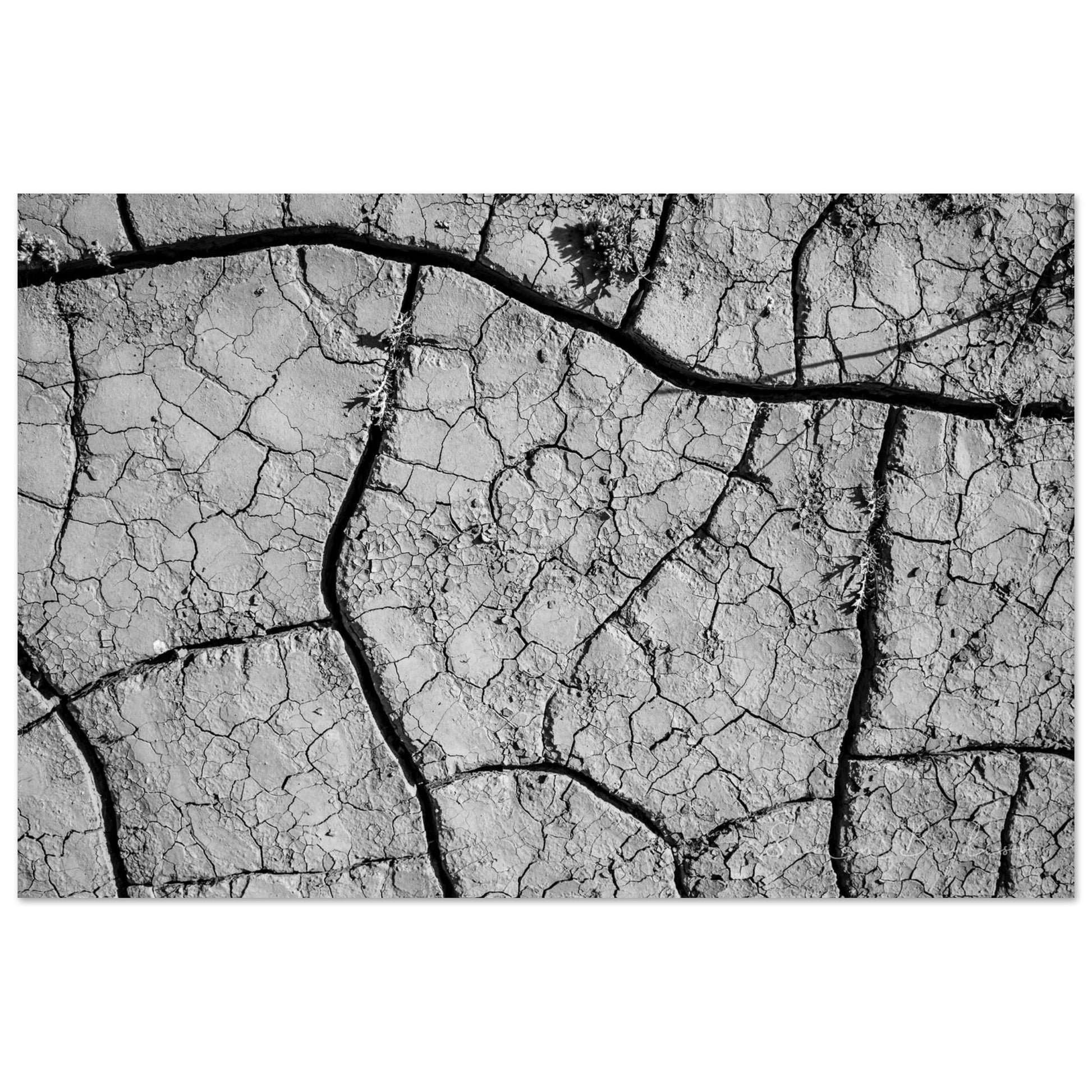 b2794752-f893-4b38-a768-7ea3f8f6c8bf