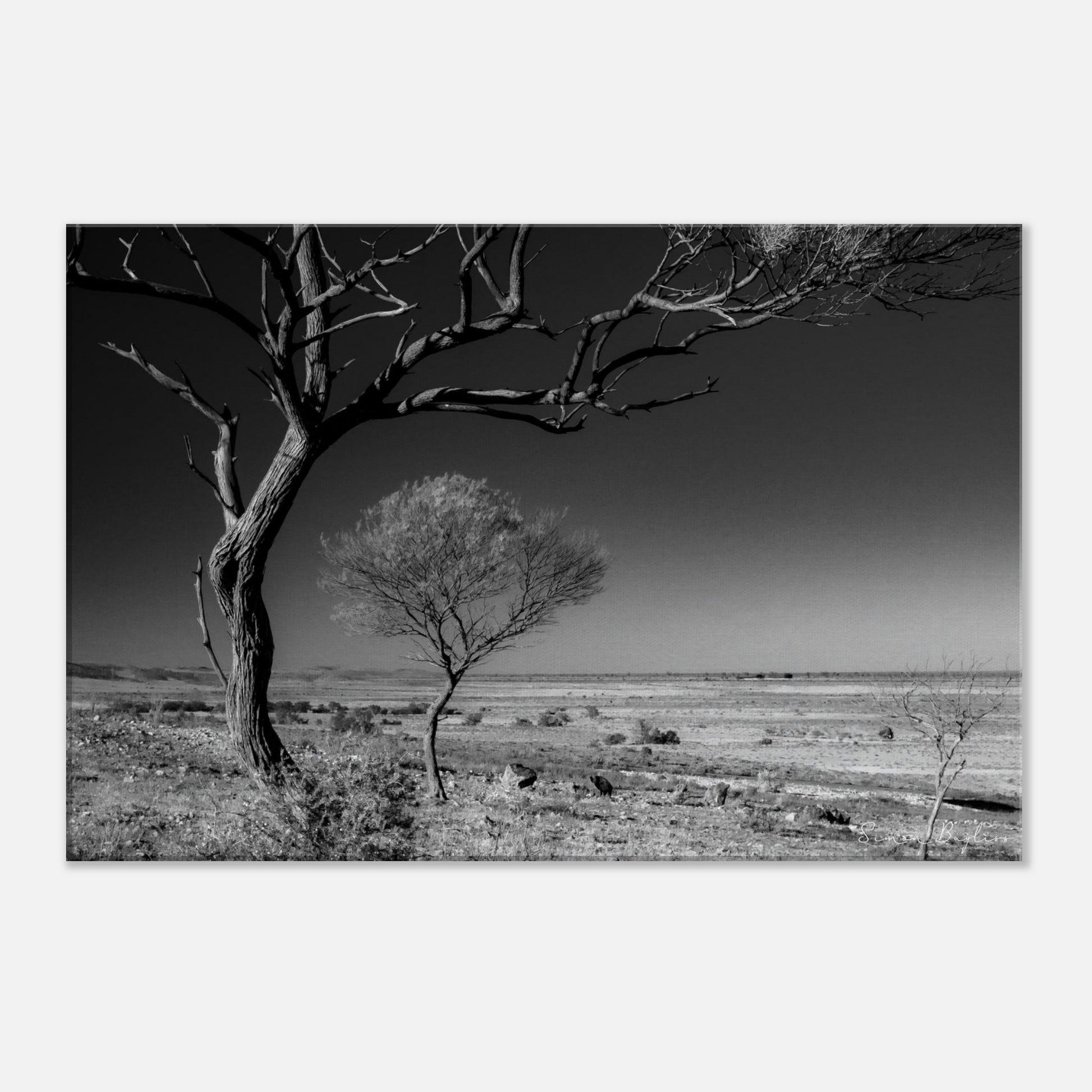 b38e0935-7135-46f1-9d52-0055f2557441