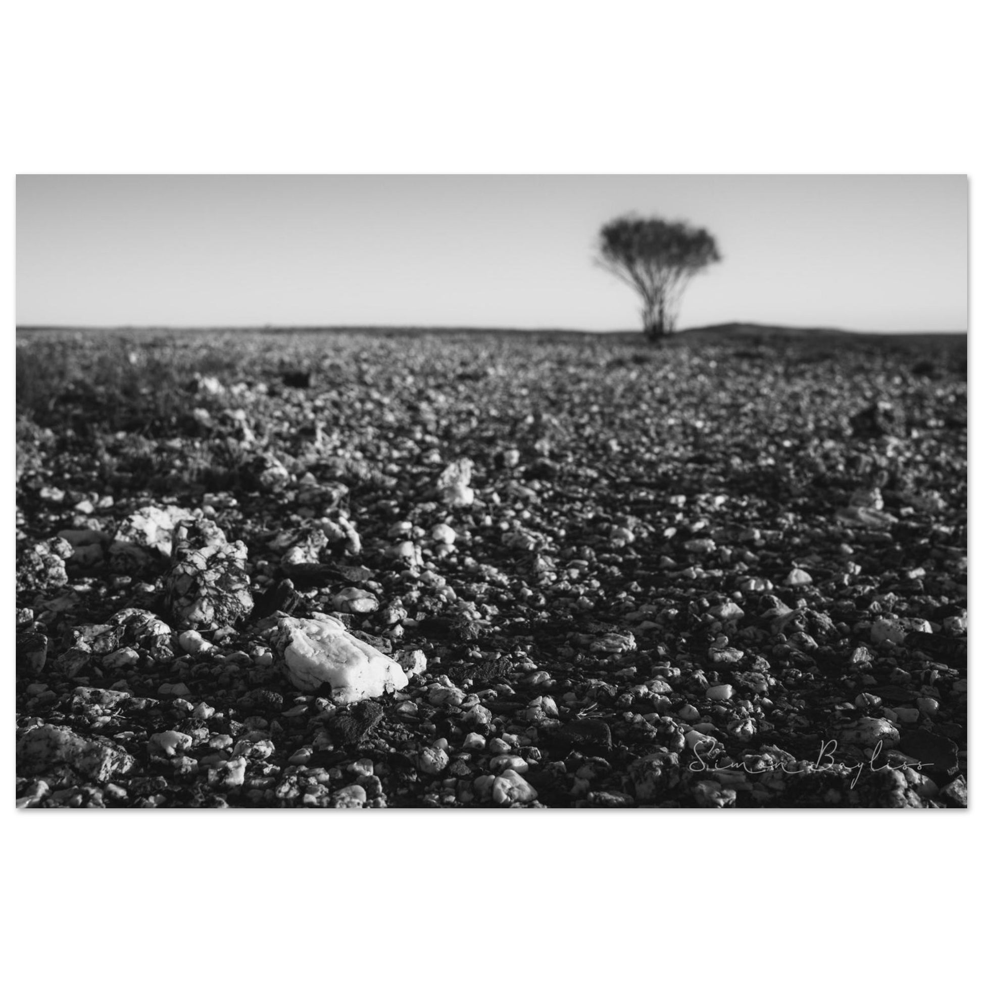 b3a95e3a-91ba-4875-b07e-596e7613d584