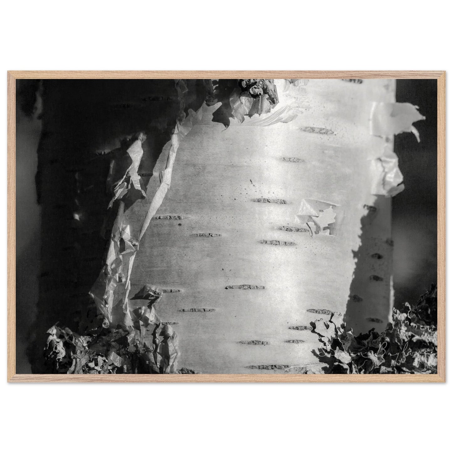 b3af71b4-decb-4107-82bc-2183b4fe9bdc