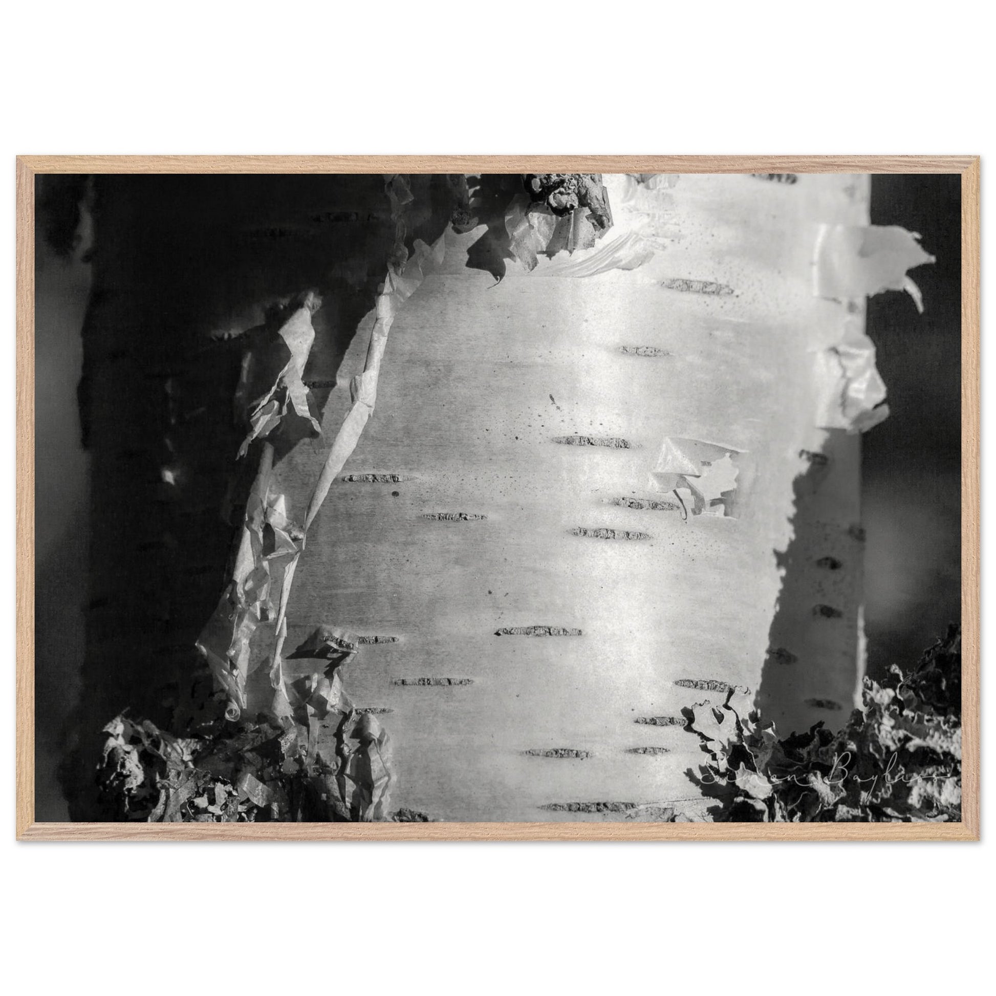 b3af71b4-decb-4107-82bc-2183b4fe9bdc