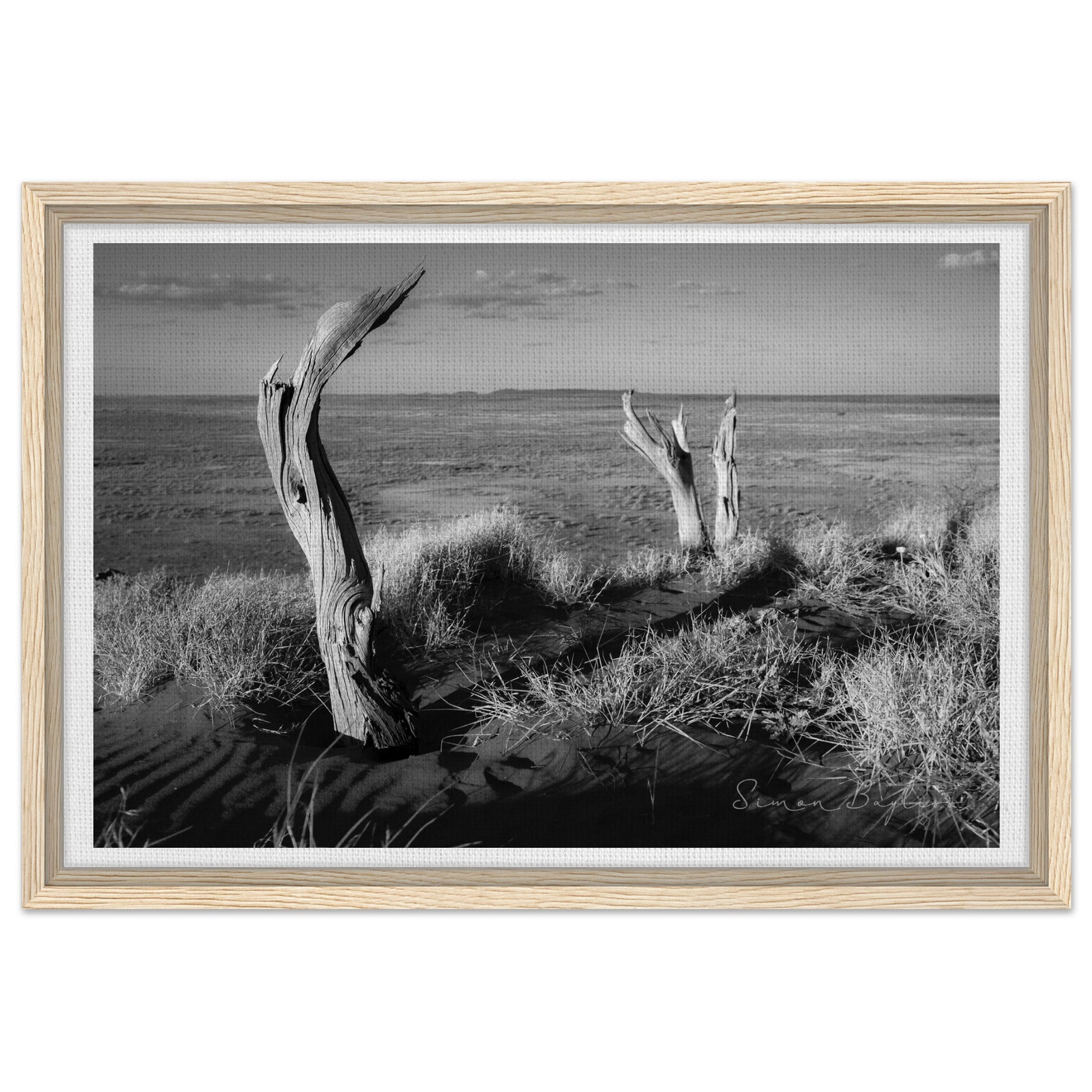 b465a3fa-ca60-41f4-9c8e-6dbd24be83a5