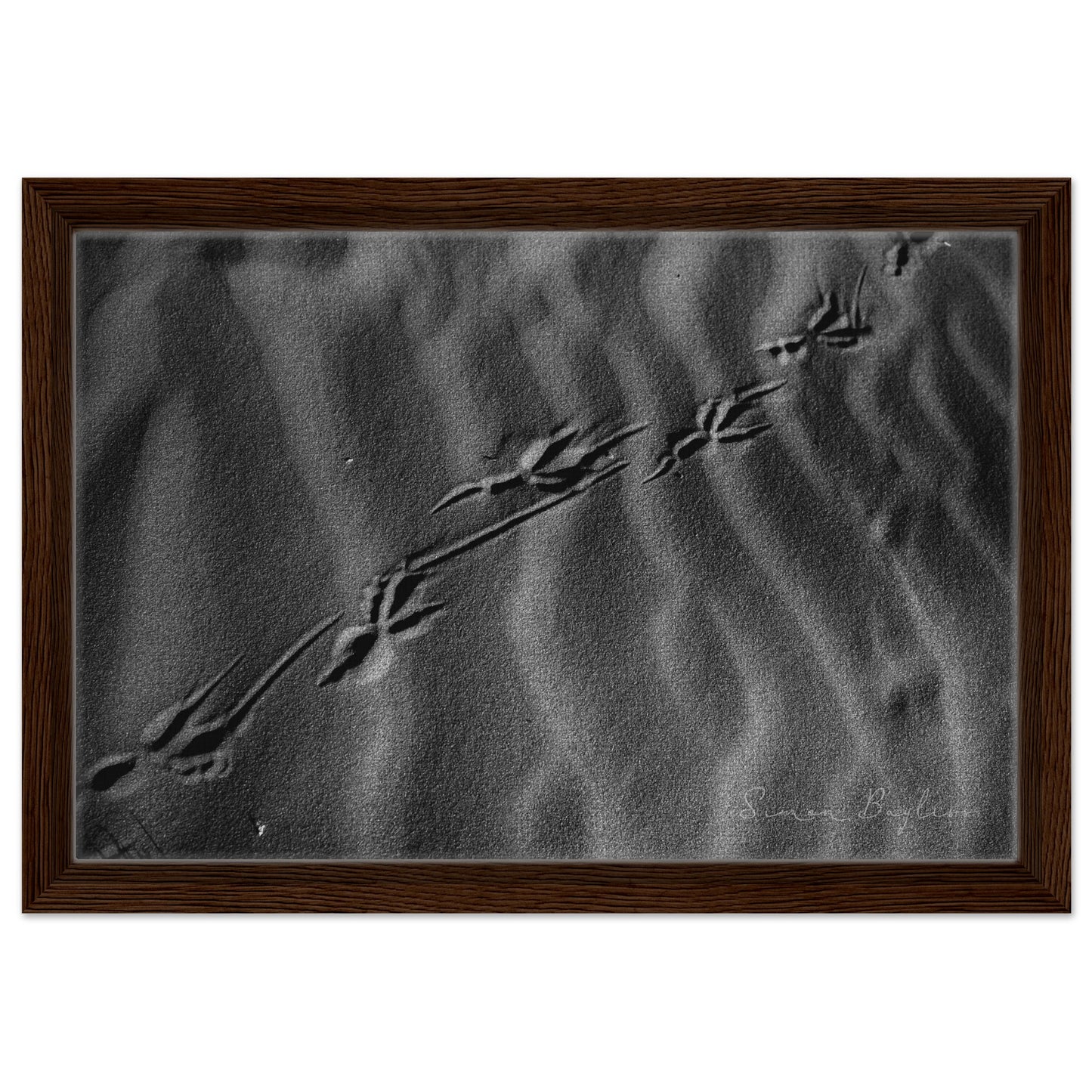 b47306fd-e2f0-411c-ba88-344205b68474