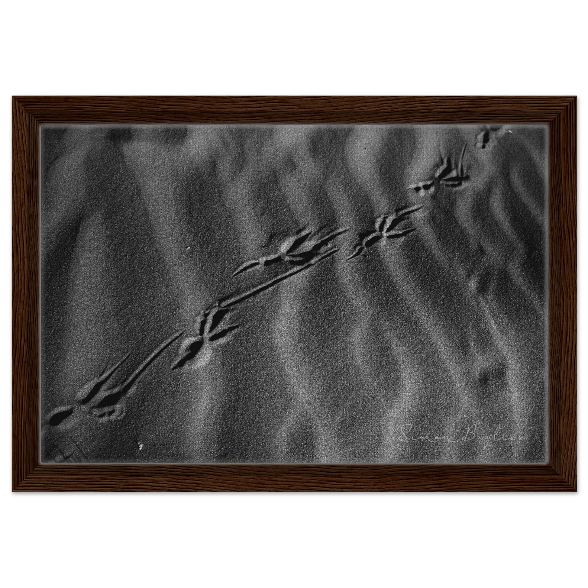 b47306fd-e2f0-411c-ba88-344205b68474