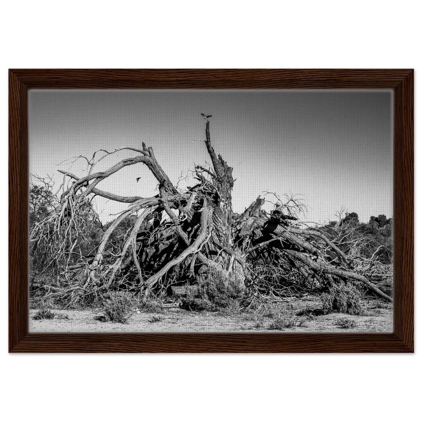 b4d22ec5-27d8-4c31-abb4-b75c30ec28c7