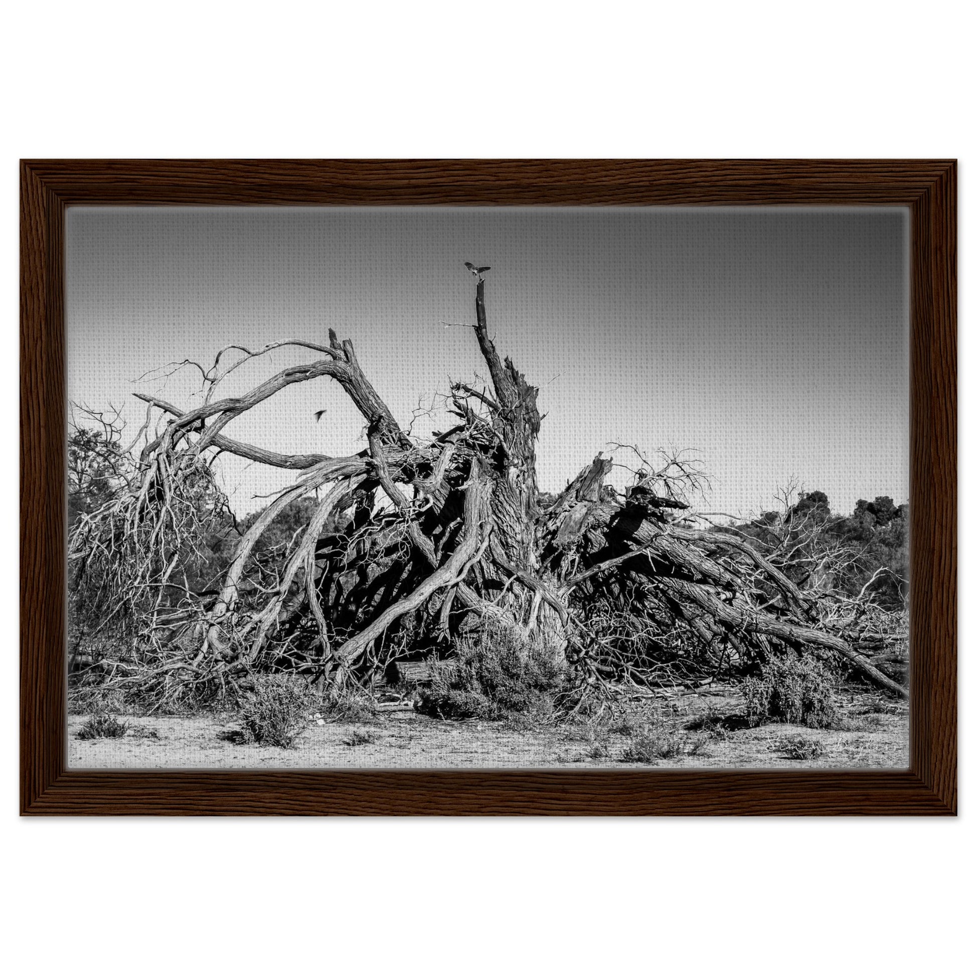 b4d22ec5-27d8-4c31-abb4-b75c30ec28c7