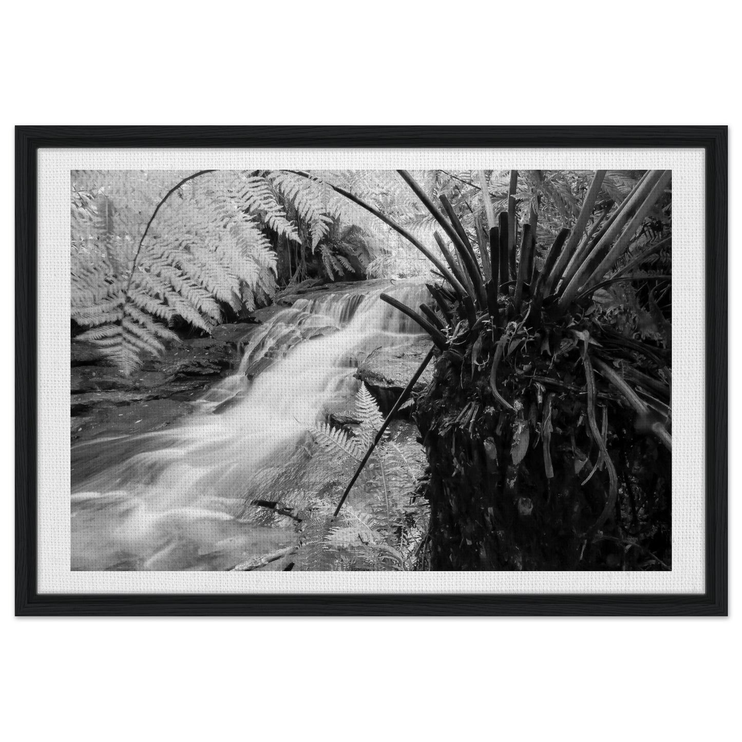 b502a617-2aaf-4036-9b58-f03f824c4c39