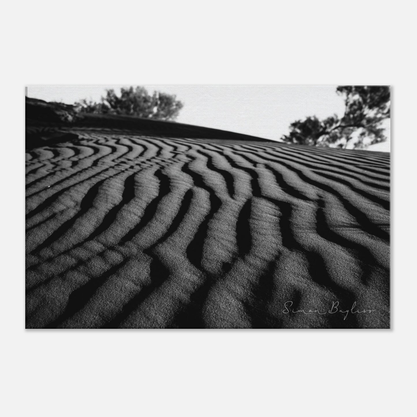 b72e0f7e-2c12-4741-b297-910b4dc212a1