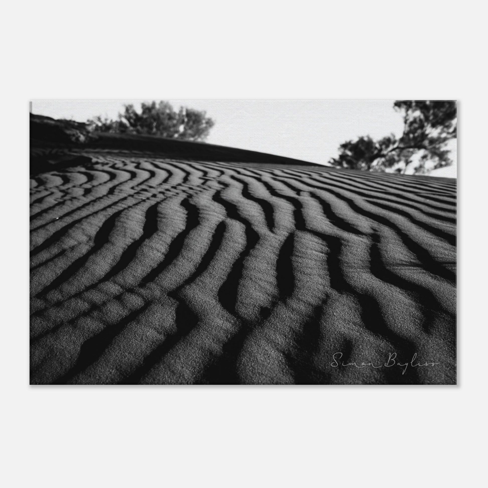 b72e0f7e-2c12-4741-b297-910b4dc212a1