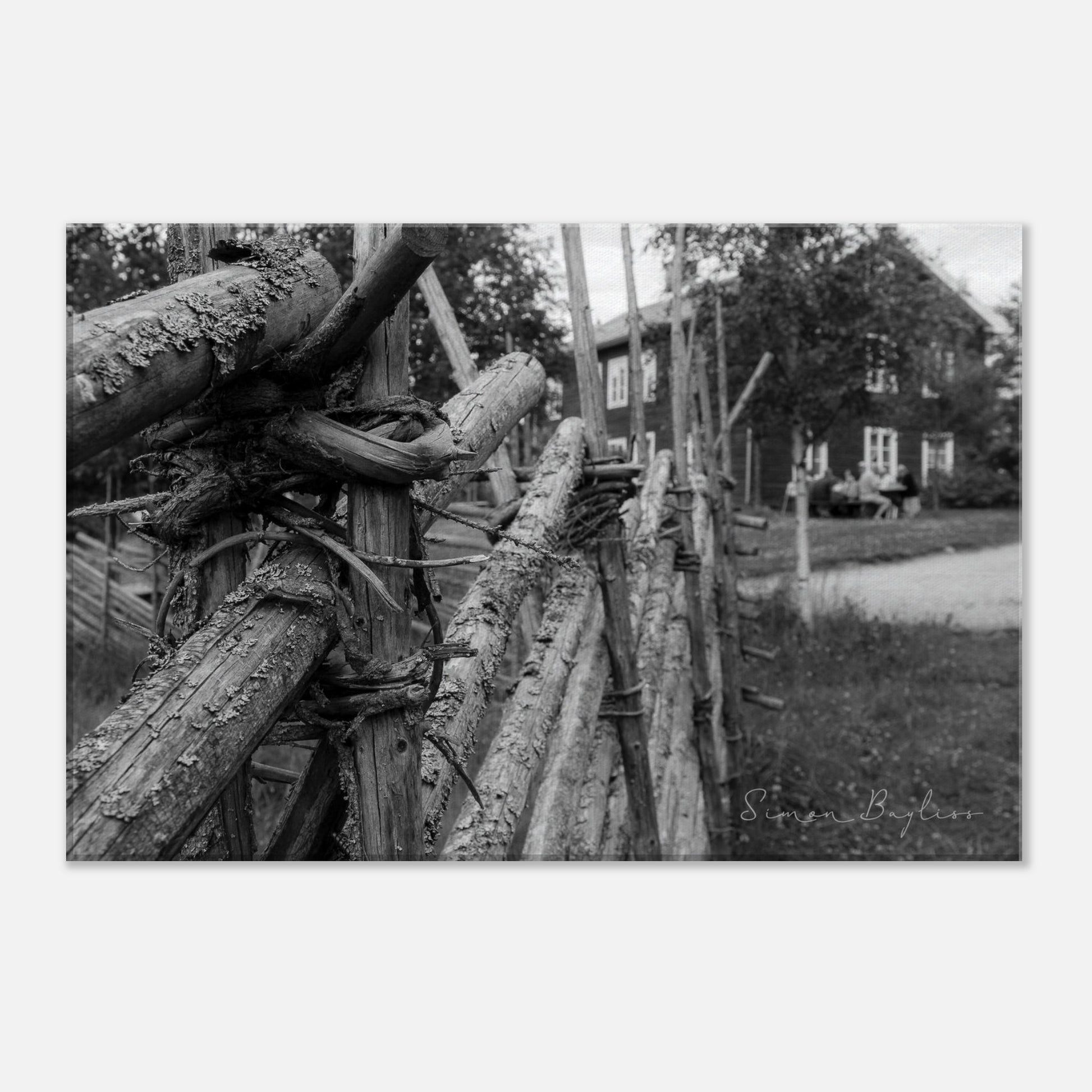 b7d3d16c-78d1-4f98-bbe9-910730824687