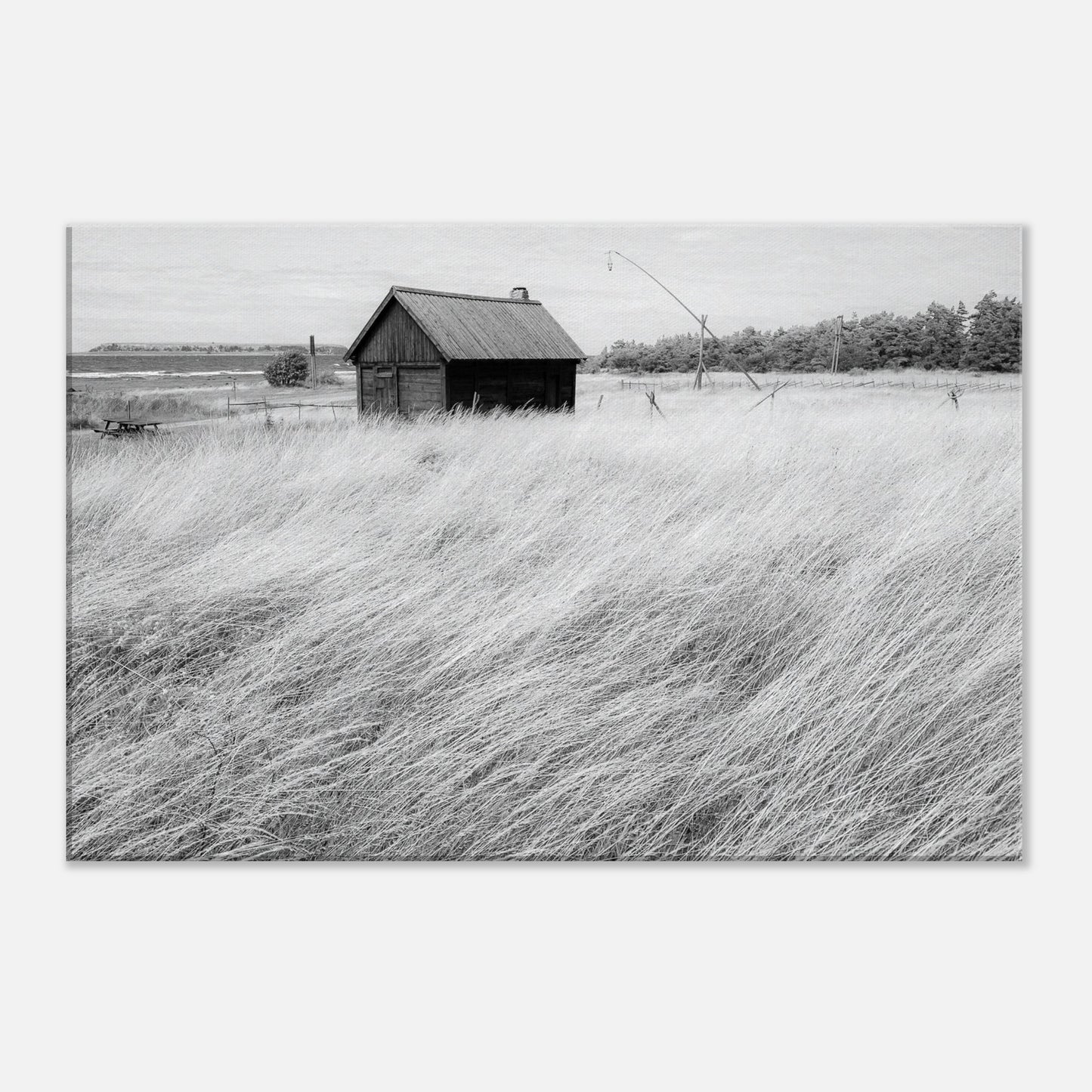 b80aff3b-62d0-4507-a2b0-ccf5c28db4f5