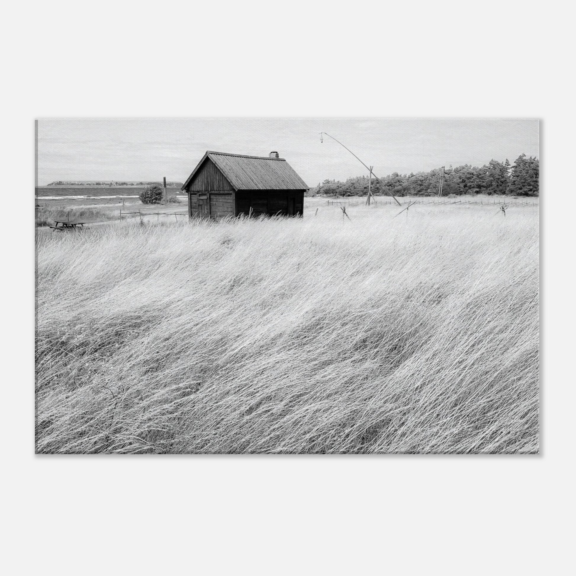 b80aff3b-62d0-4507-a2b0-ccf5c28db4f5