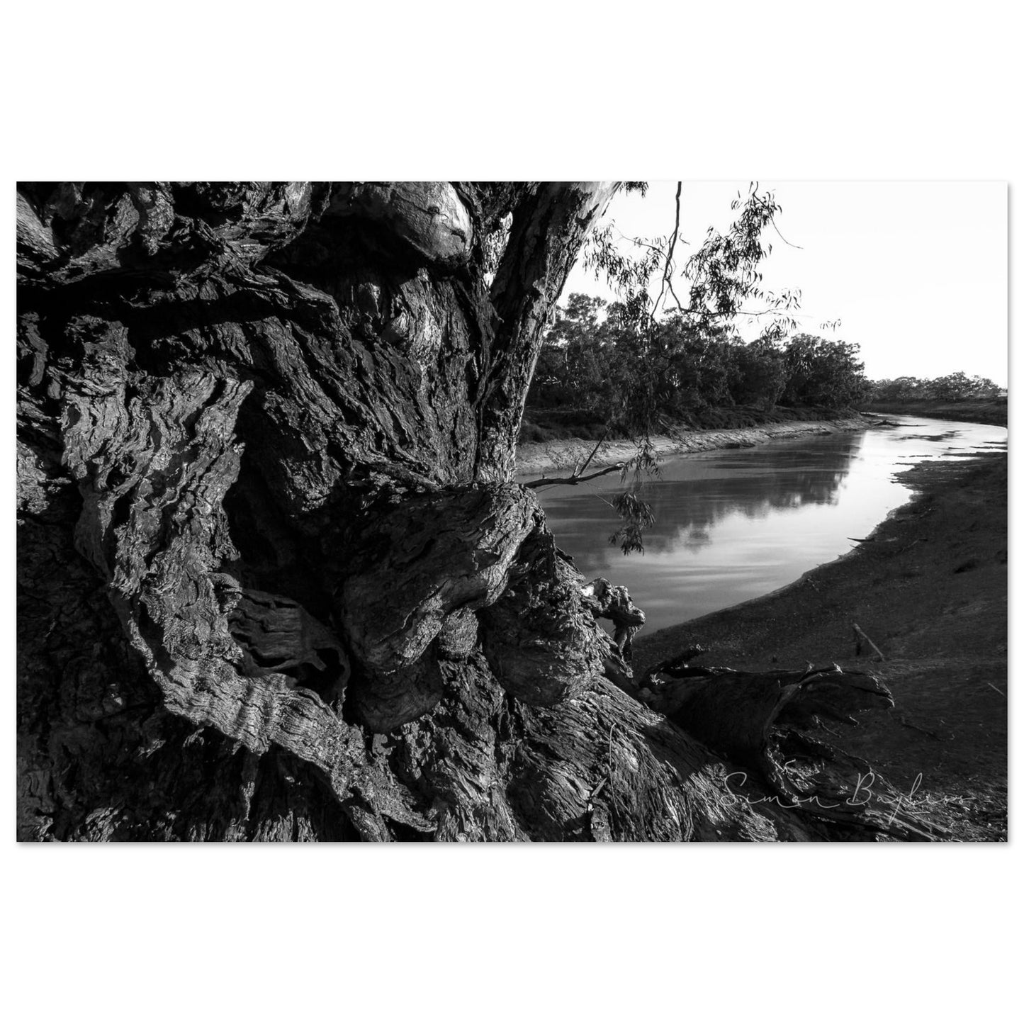 b8a7bccd-b488-4033-acf5-a34cb3aba937