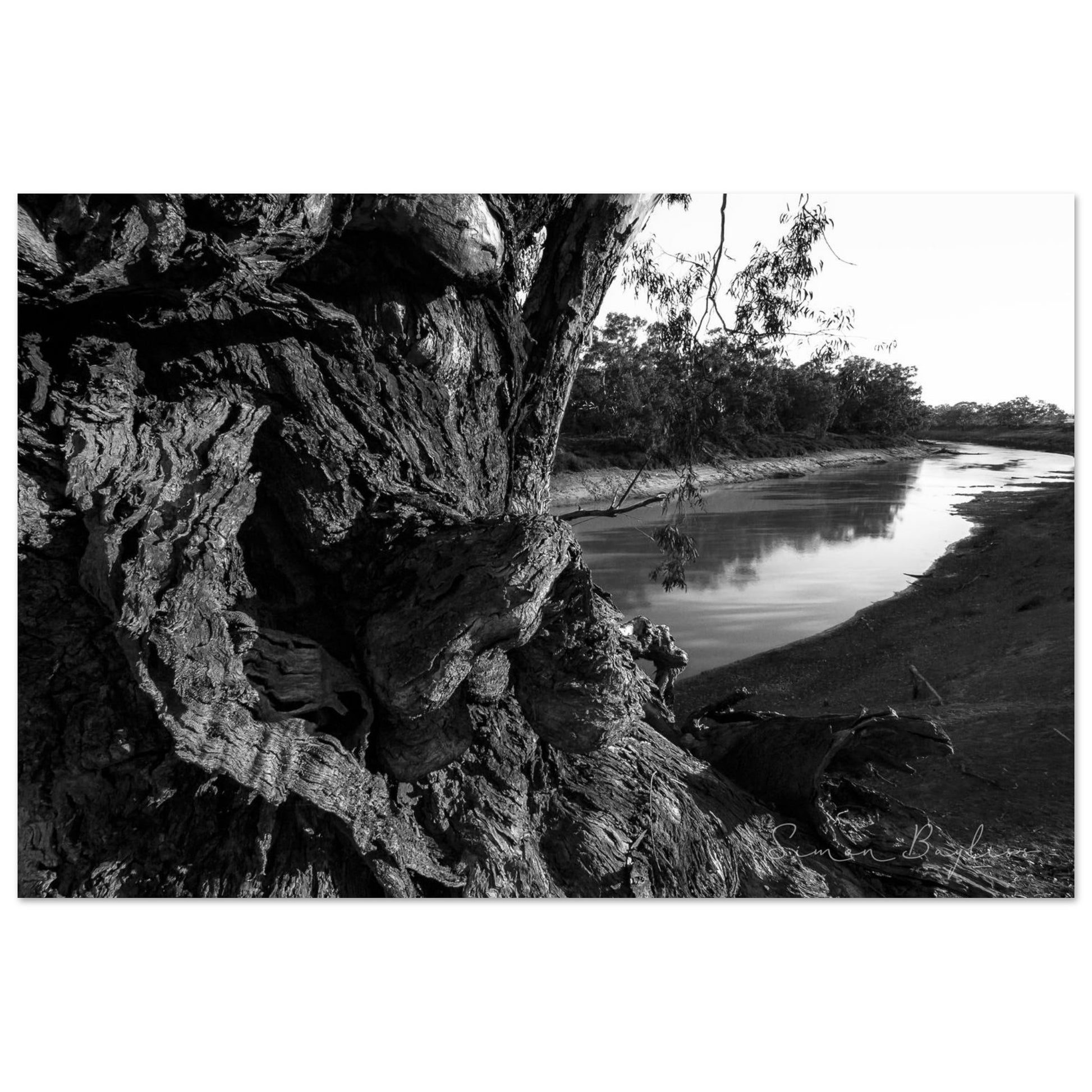 b8a7bccd-b488-4033-acf5-a34cb3aba937