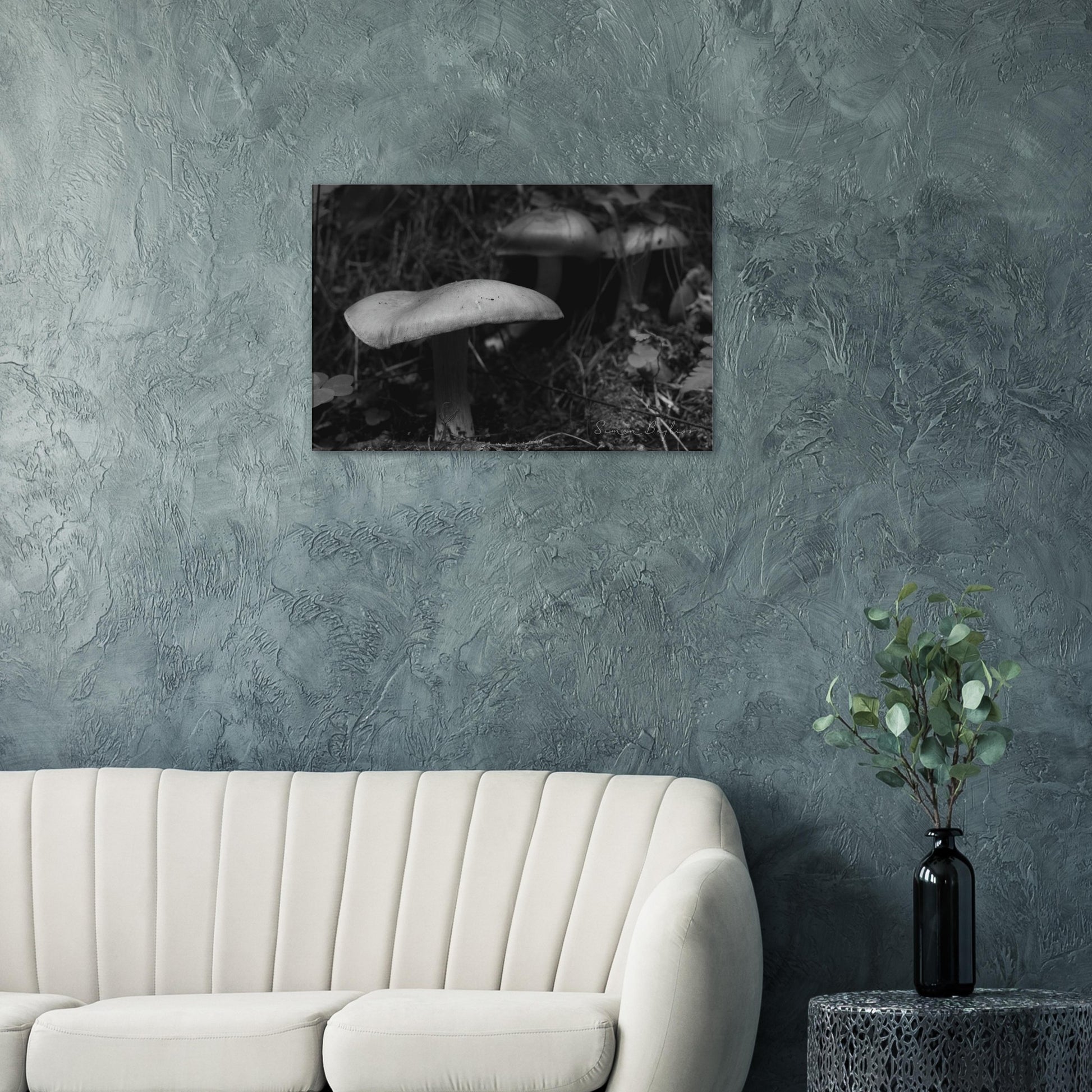 b8cc6864-177a-45cf-b0e4-f07a907ffe12