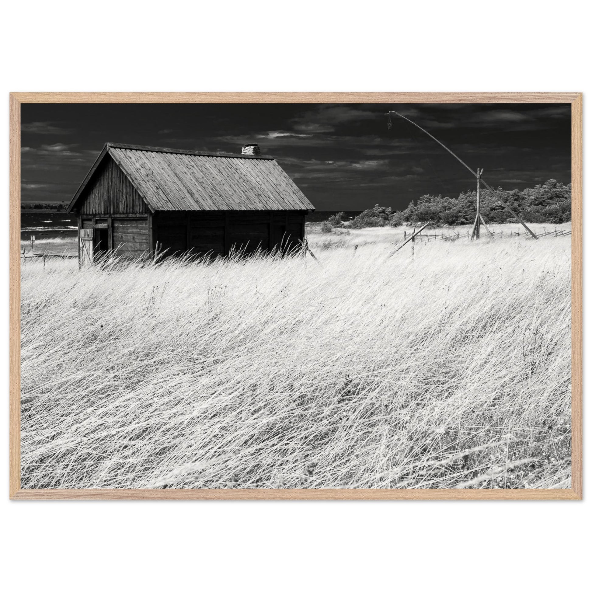 b8de29f5-b54e-4a50-ba24-ca85600e2992