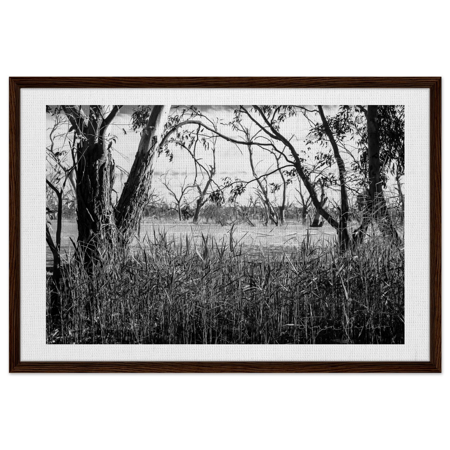 b8e7d11f-206c-4b58-8bdc-31fc3fd9aa72