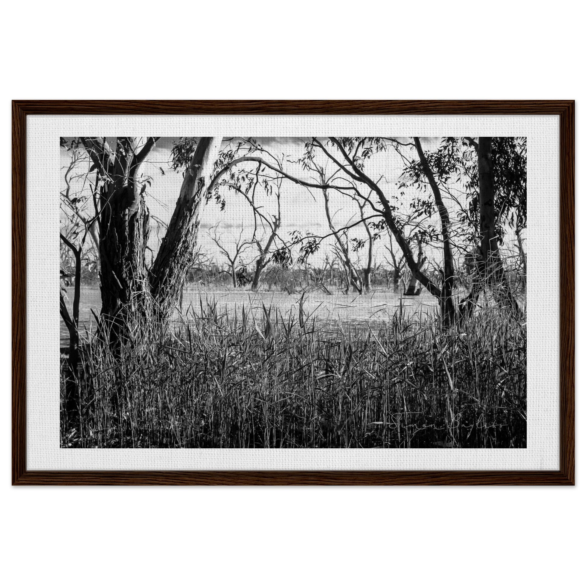 b8e7d11f-206c-4b58-8bdc-31fc3fd9aa72