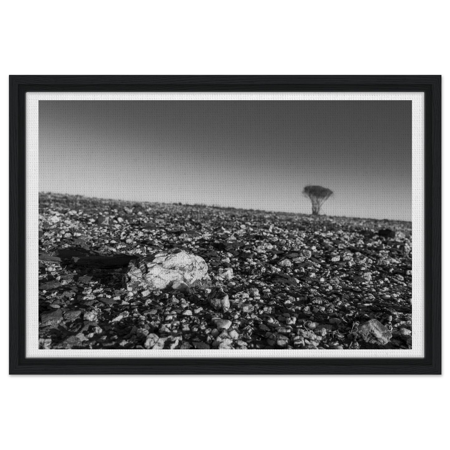 b91261b8-cb52-4fe7-abaa-71658b6897f7