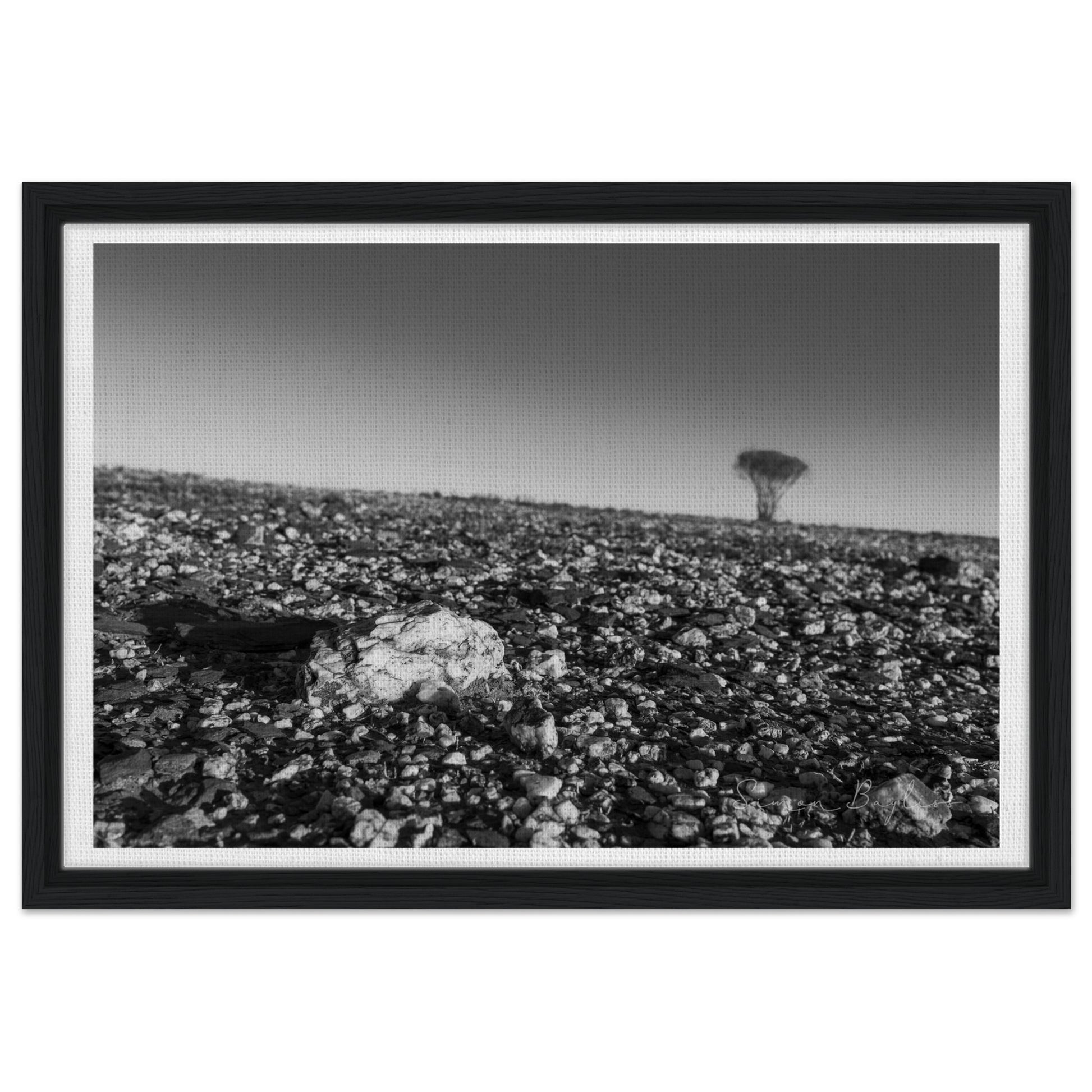 b91261b8-cb52-4fe7-abaa-71658b6897f7